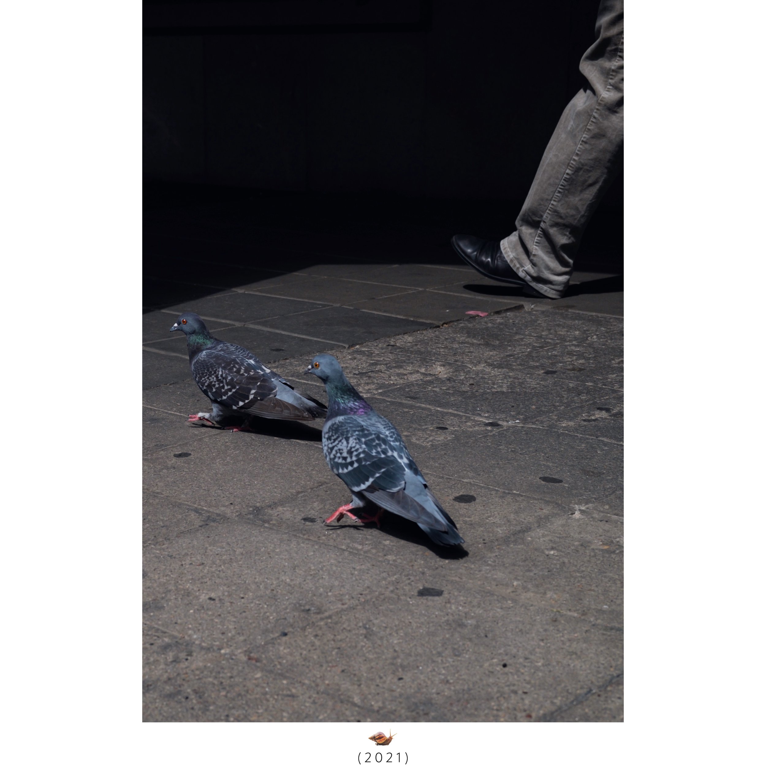 WEB_snail-5-WELCOME TO THE HAPPINESS GARDEN NEW-2.jpeg