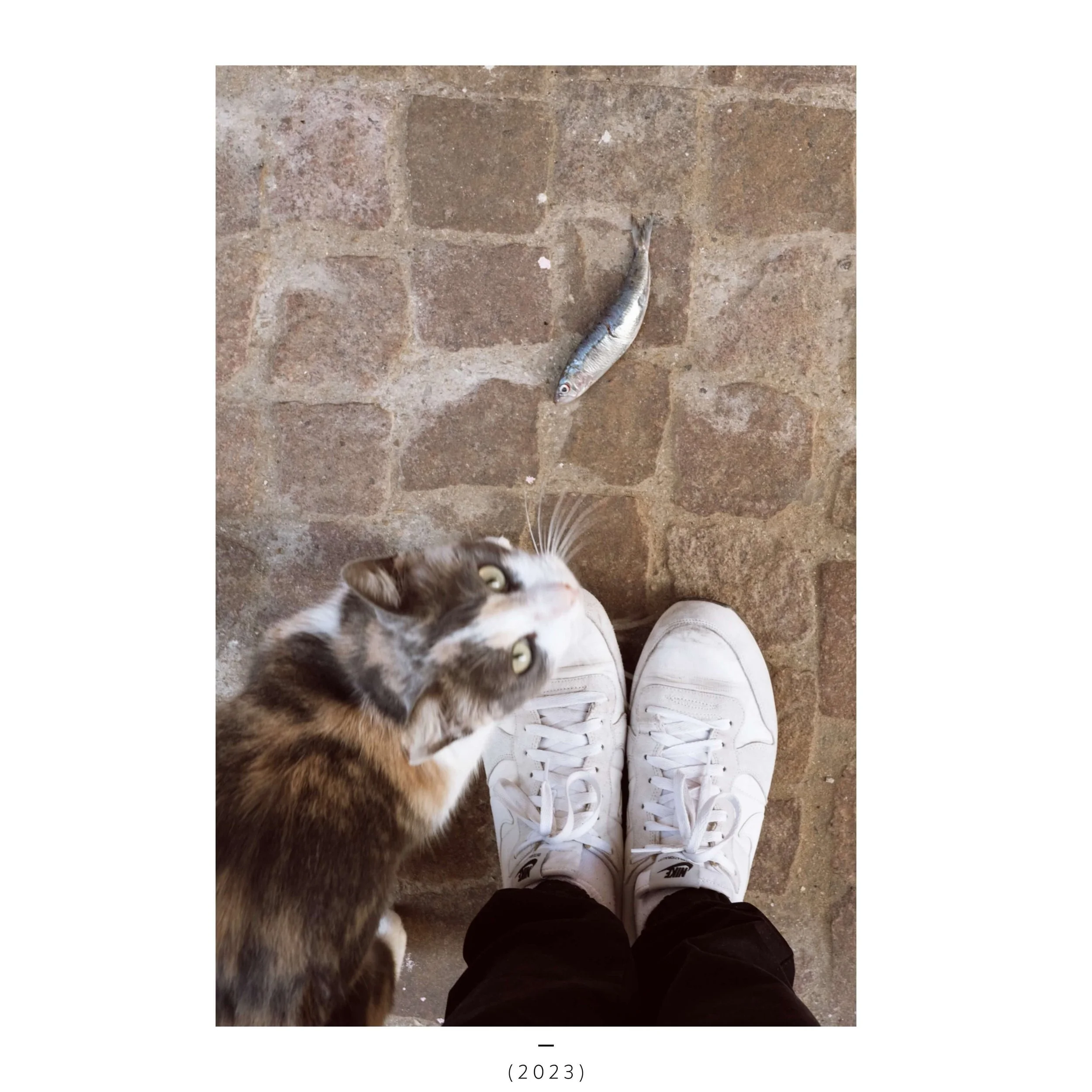 LONG TIME NO SEE desk-20-TEST.jpeg