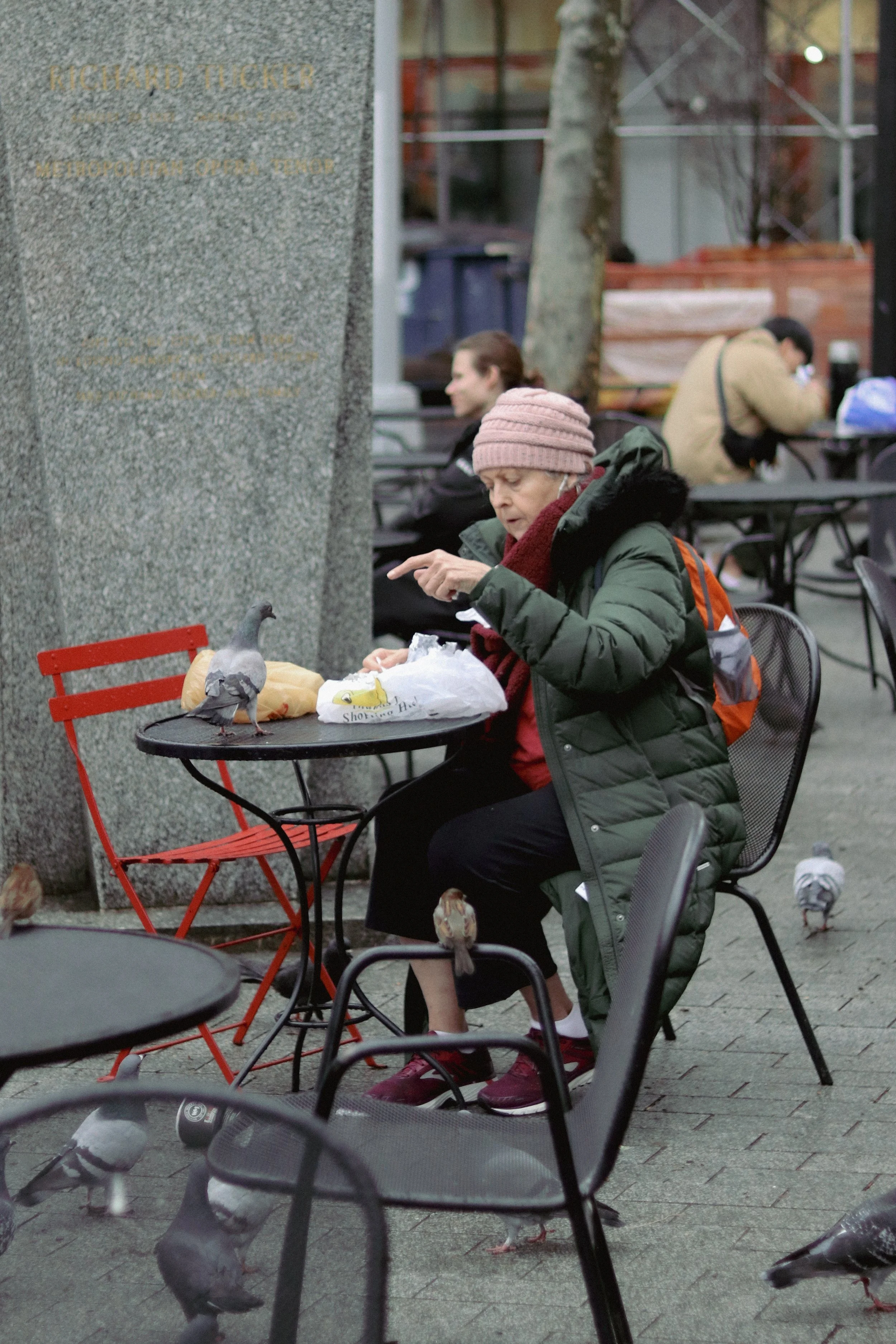 2019-DEC-NYC-PIGEON SEQUENCE II-STREET-24-04-2023.jpg