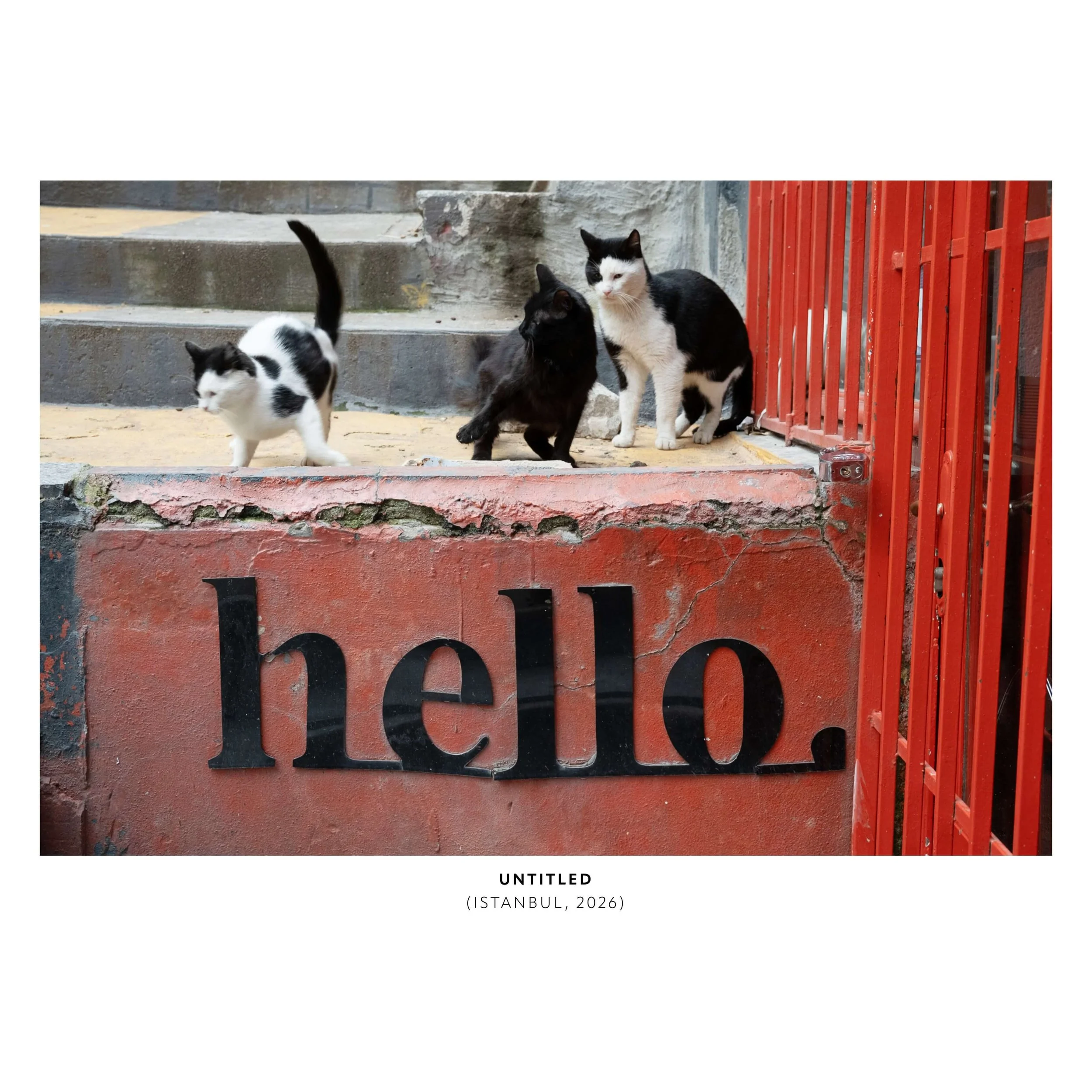 PHOTOGRAPHS-D-13-TEST.jpeg