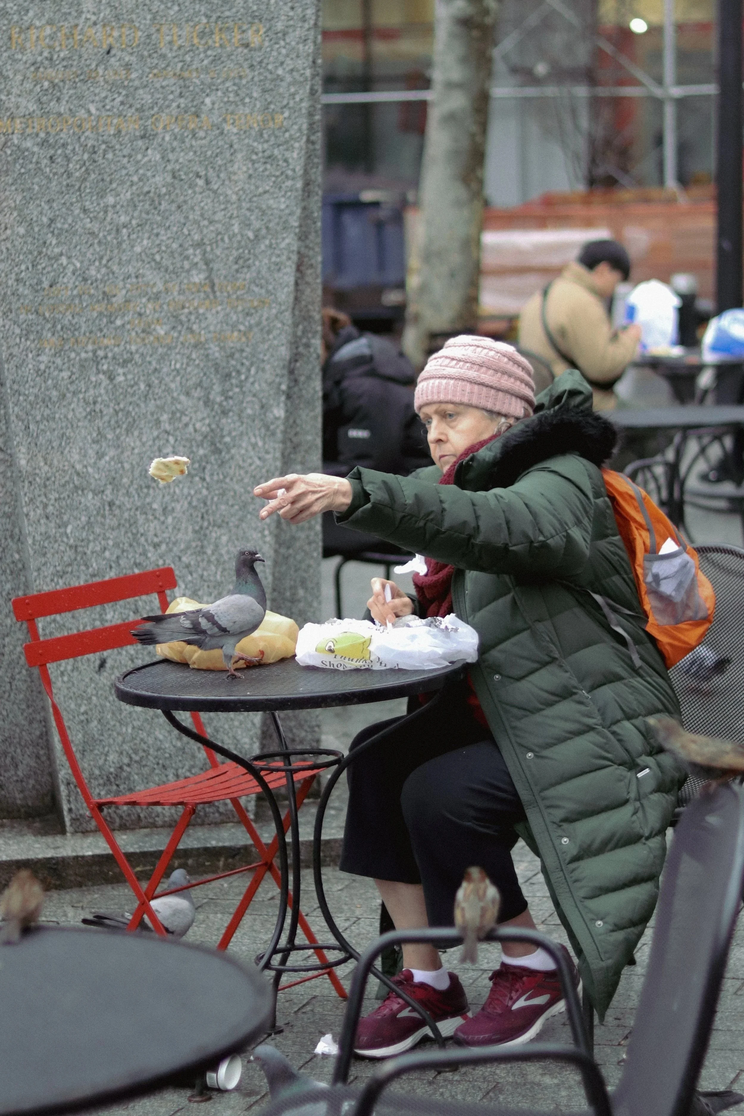 2019-DEC-NYC-PIGEON+SEQUENCE+III-STREET-24-04-2023.jpg