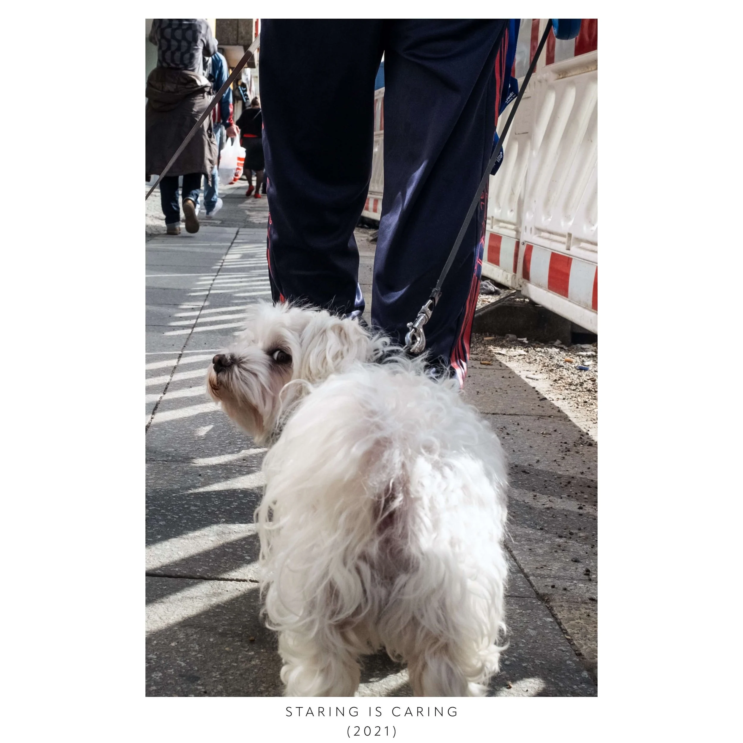 HG-STARING IS CARING.jpeg