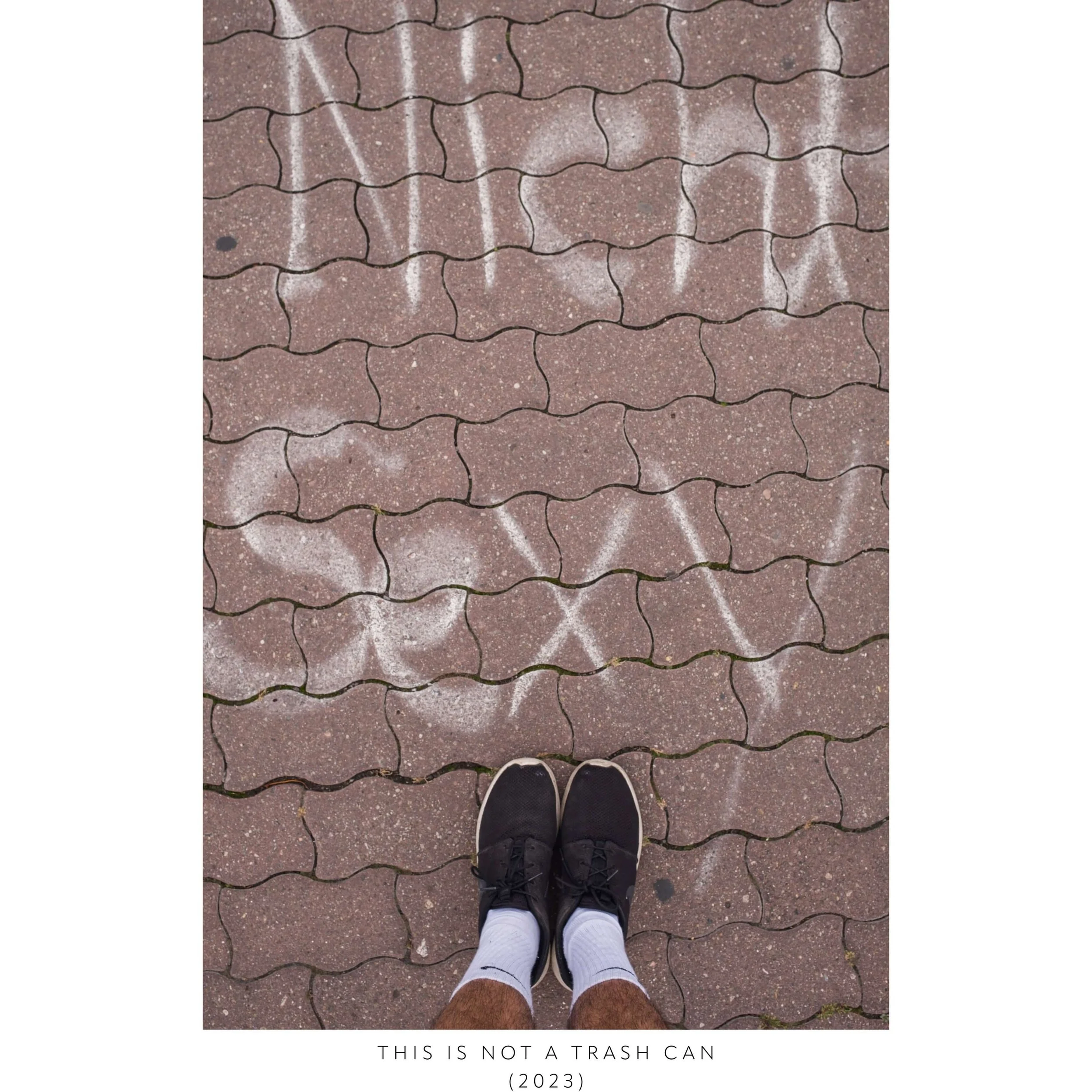 KB-THIS IS NOT A TRASH CAN3.jpeg