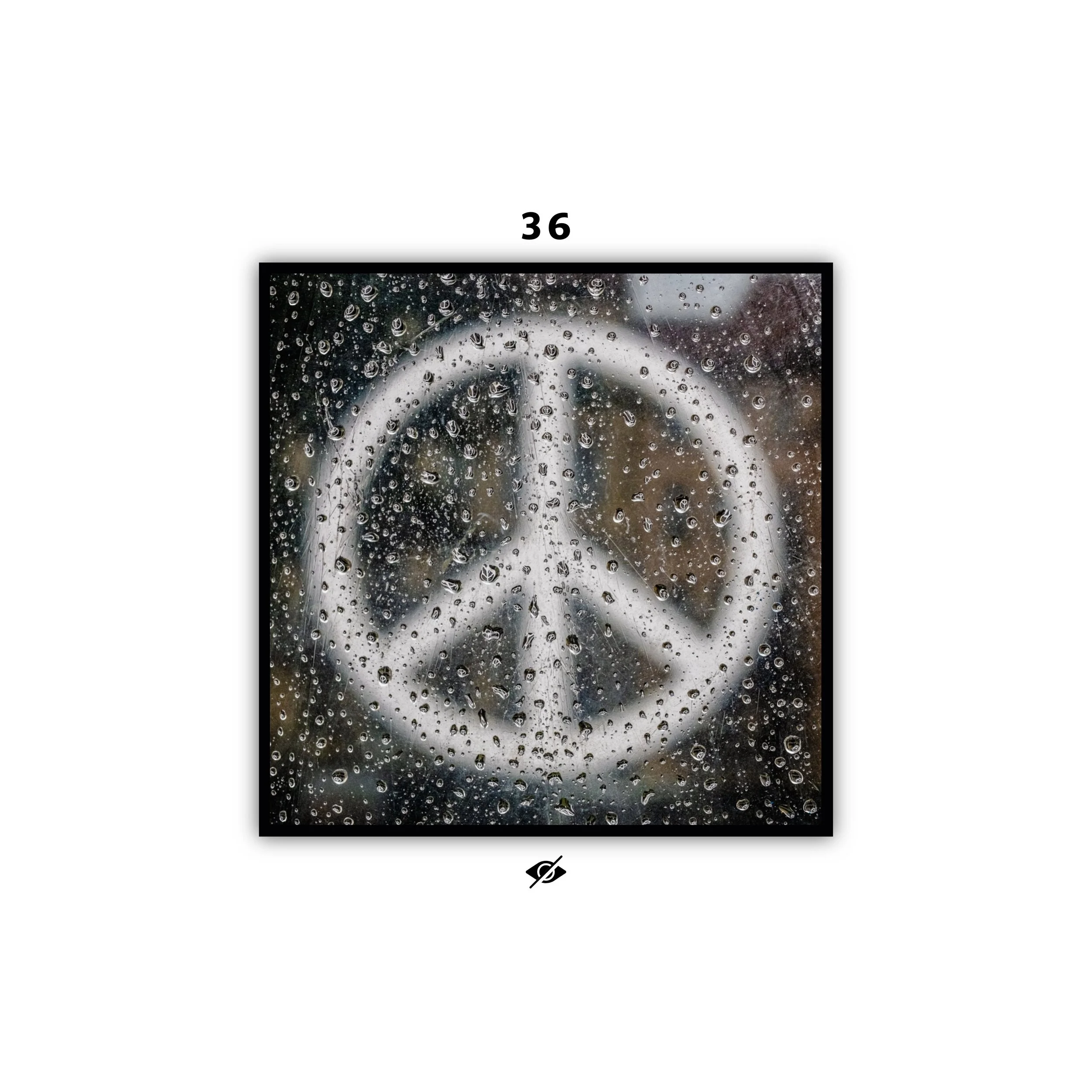 COVERS-56-WE SHALL SEE-12.jpeg