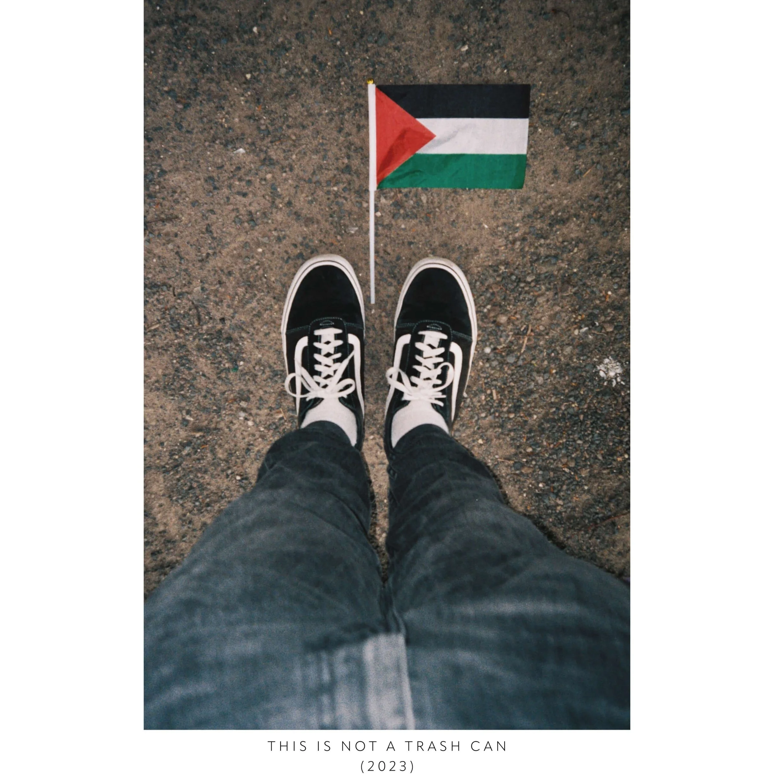 KB-THIS IS NOT A TRASH CAN4.jpeg