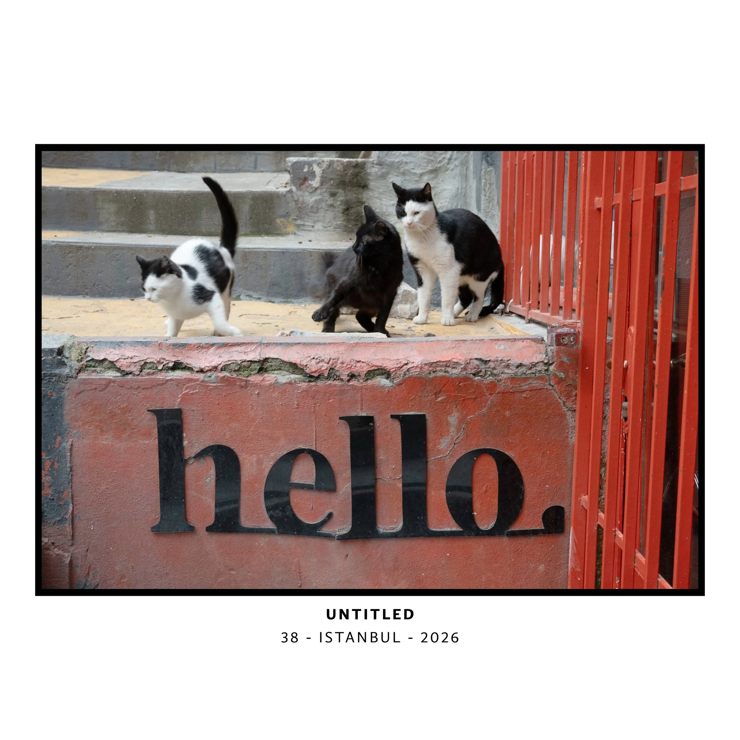 PHOTOGRAPHS-M-9-WE SHALL SEE-4.jpeg