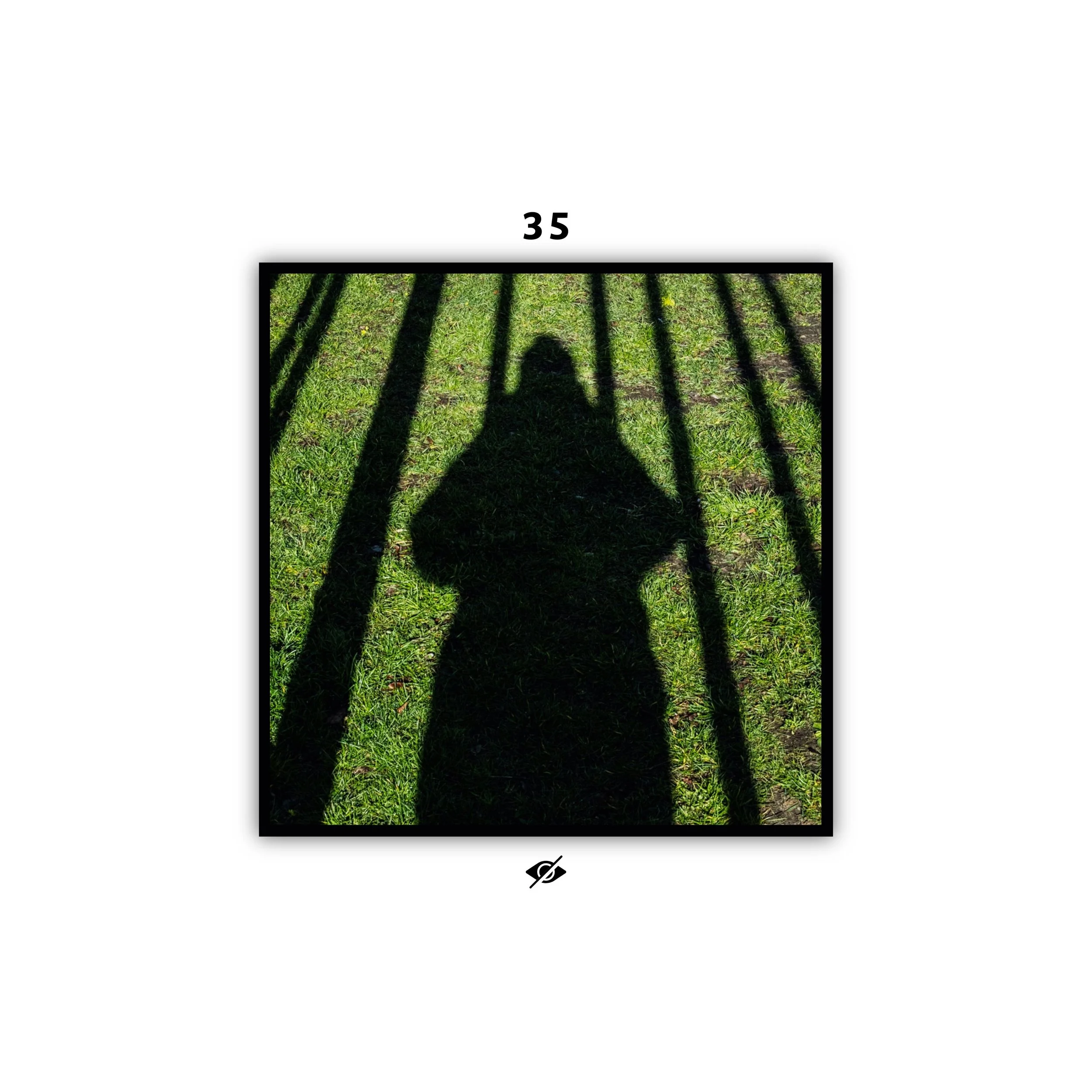 COVERS-56-WE SHALL SEE-11.jpeg