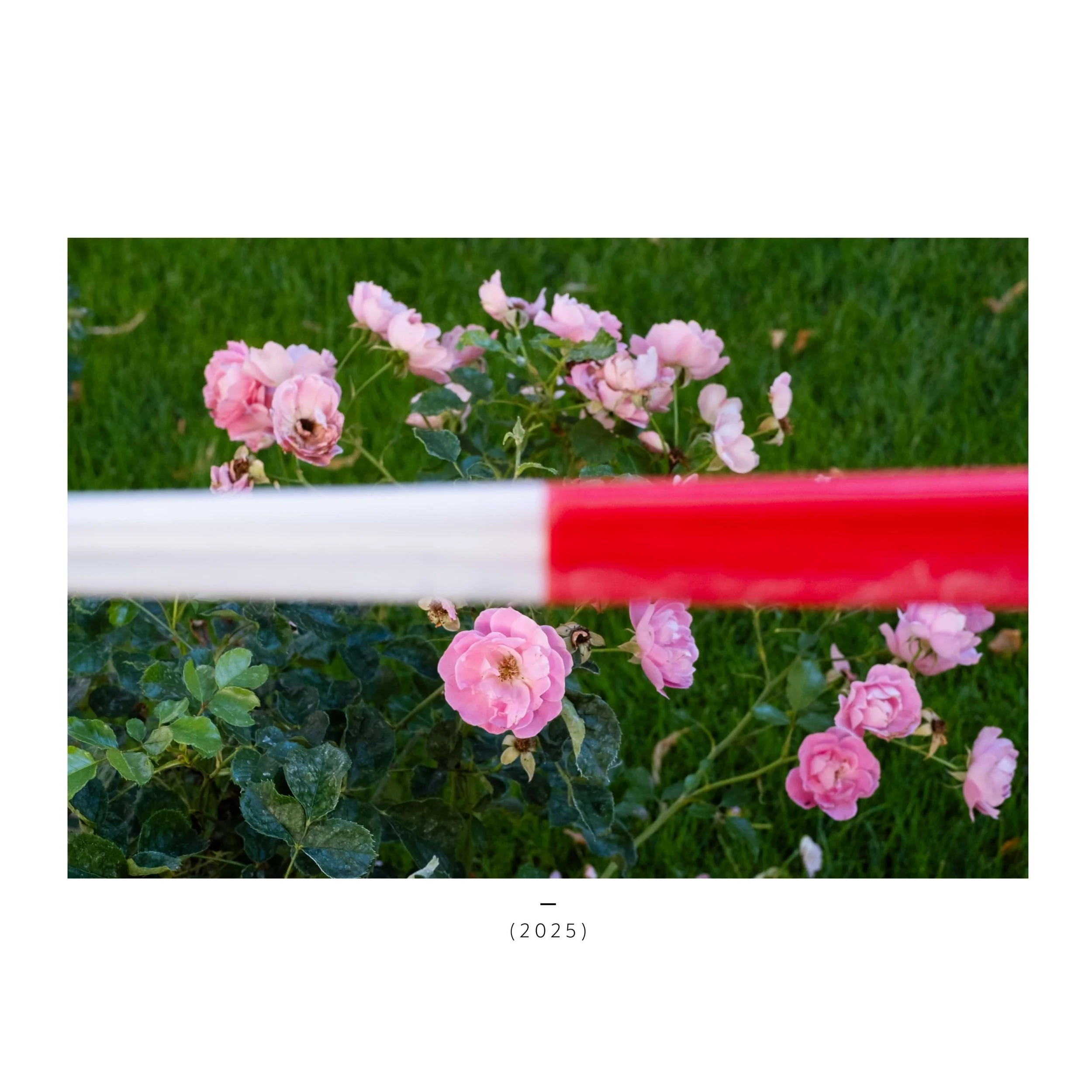 LONG TIME NO SEE desk-21-TEST.jpeg