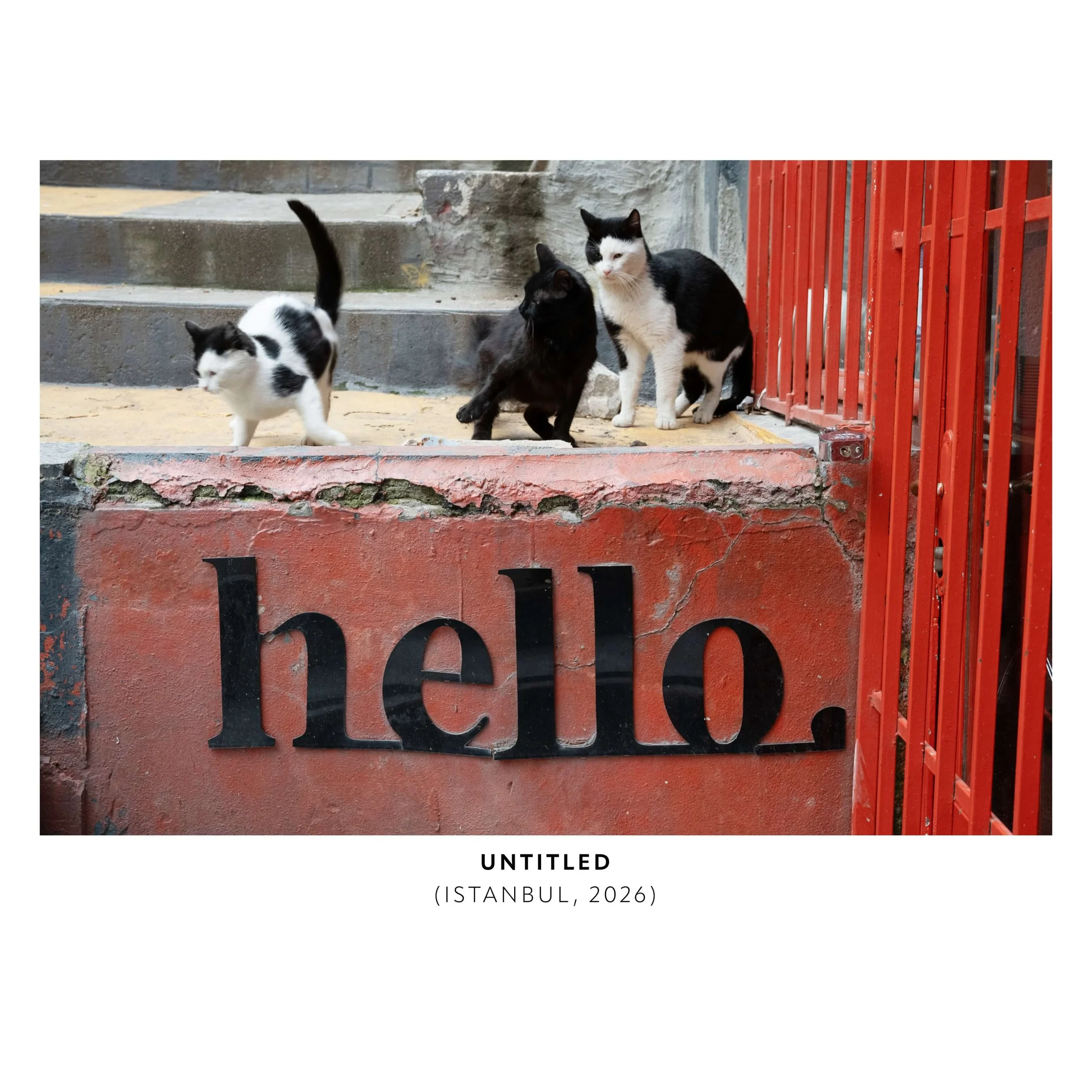 PHOTOGRAPHS-M-13-TEST.jpeg