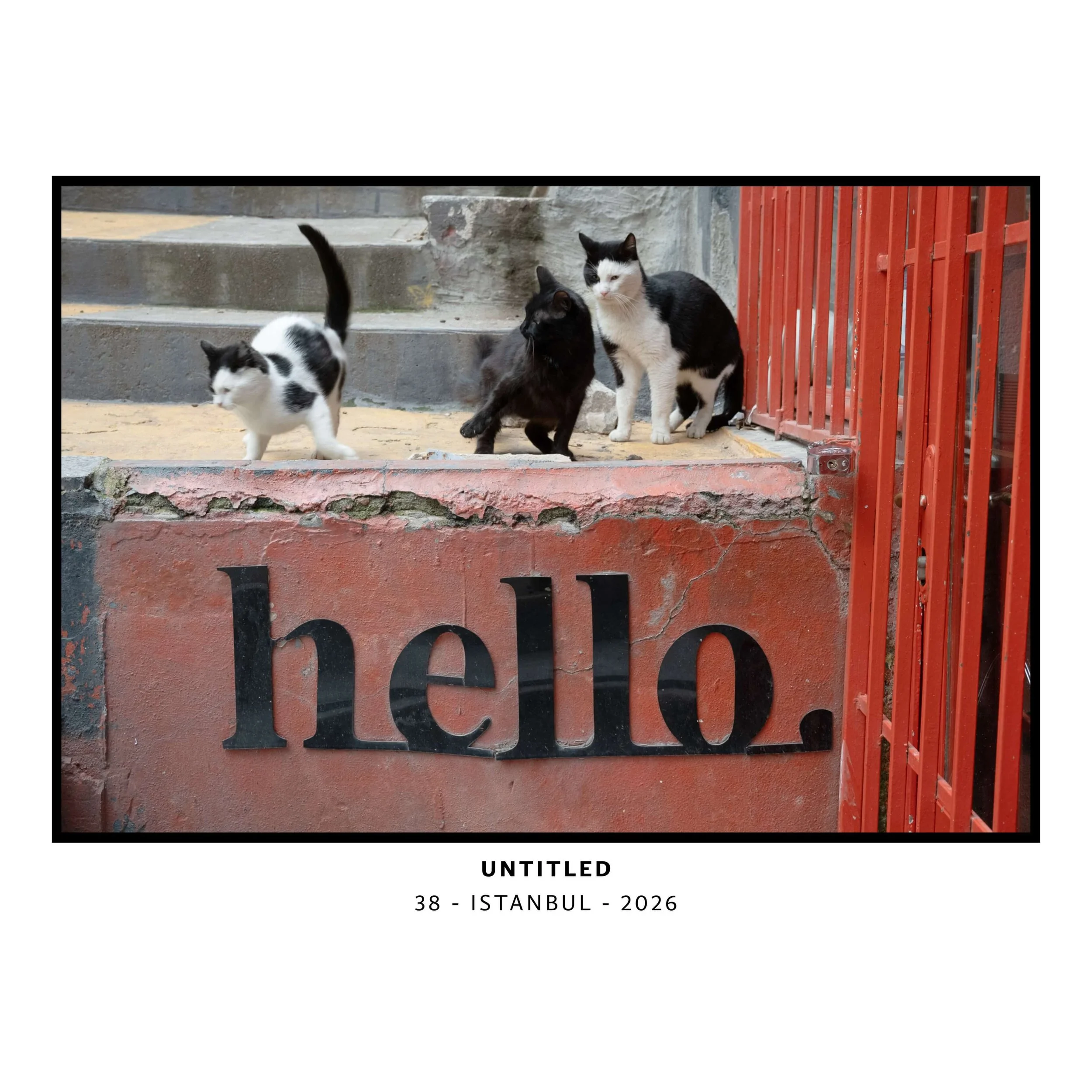 PHOTOGRAPHS-M-9-WE SHALL SEE.jpeg