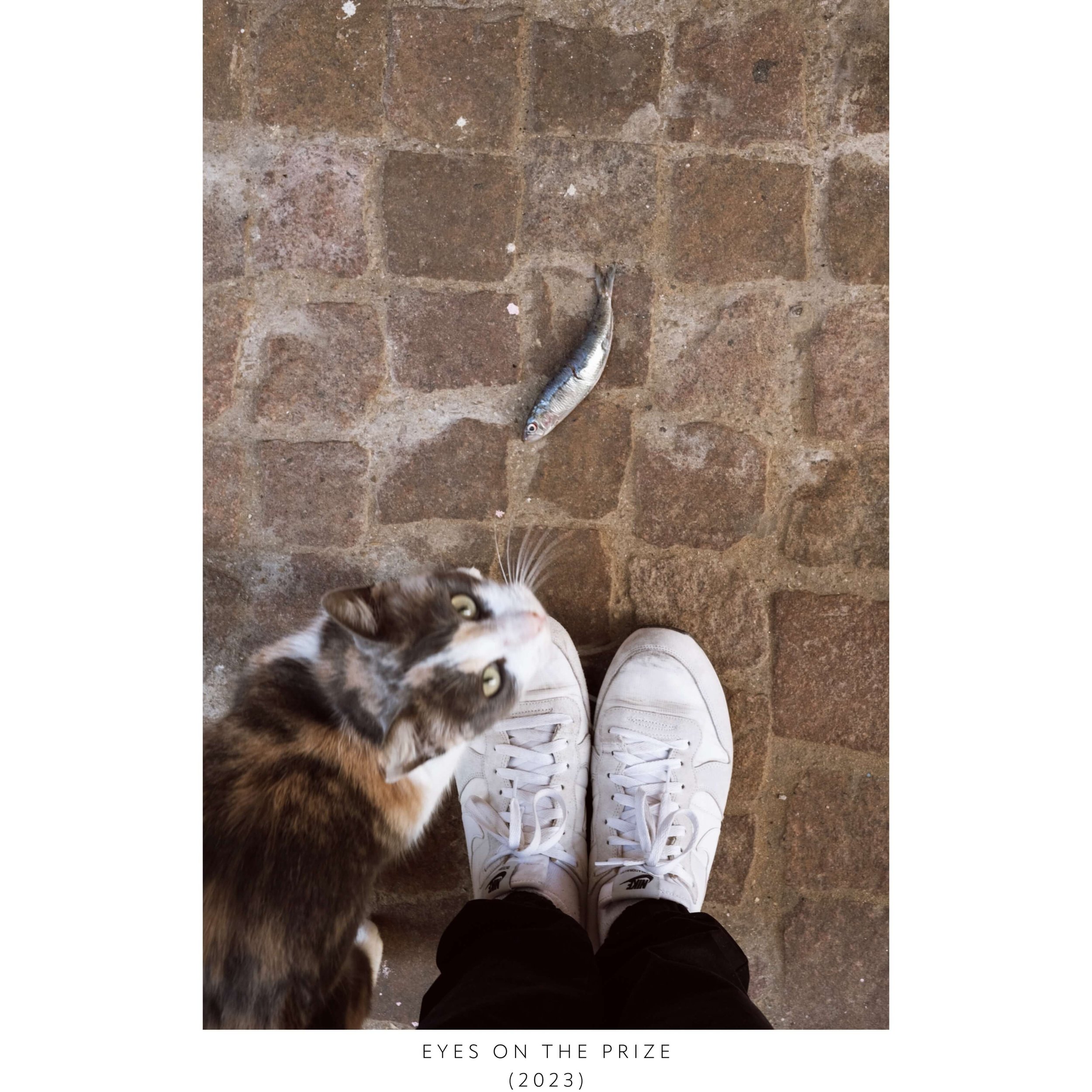 KGN EYES ON THE PRIZE (1).jpeg