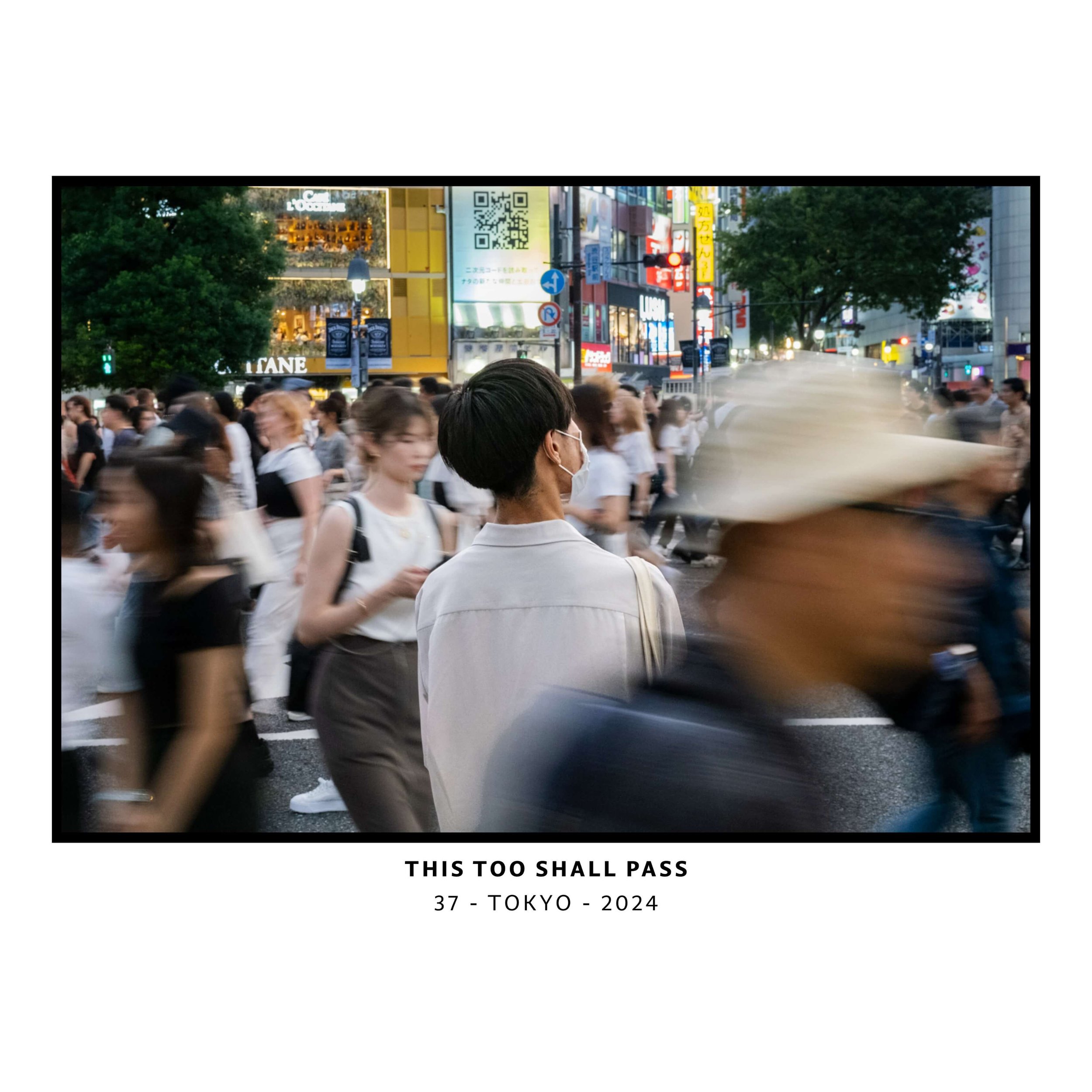 PHOTOGRAPHS-M-29-WE SHALL SEE.jpeg