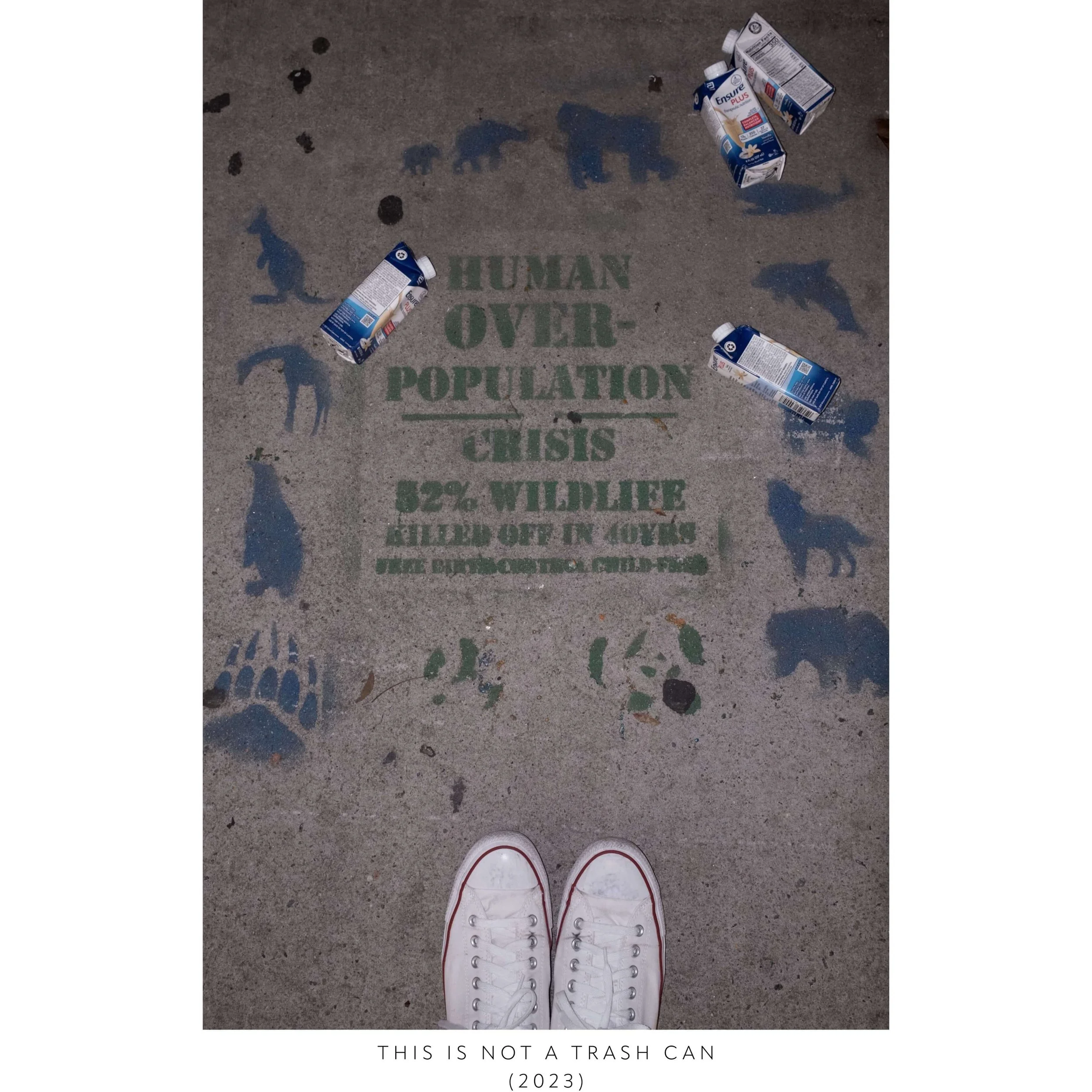 KB-THIS IS NOT A TRASH CAN9.jpeg