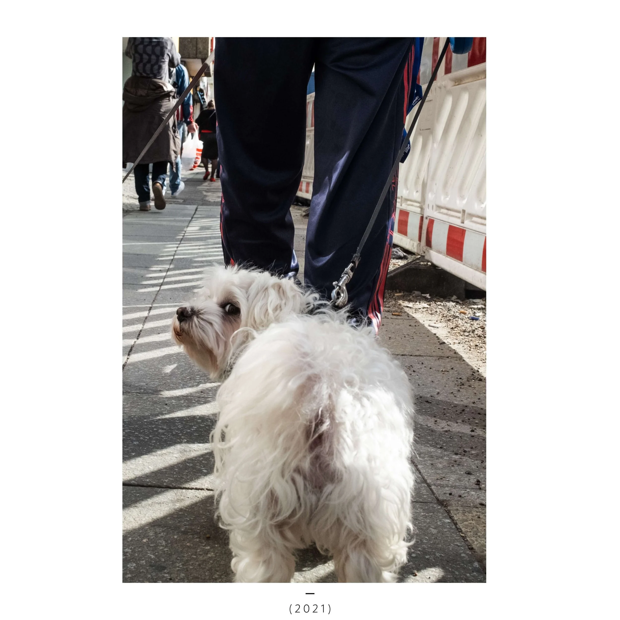 LONG TIME NO SEE desk-4-TEST.jpeg