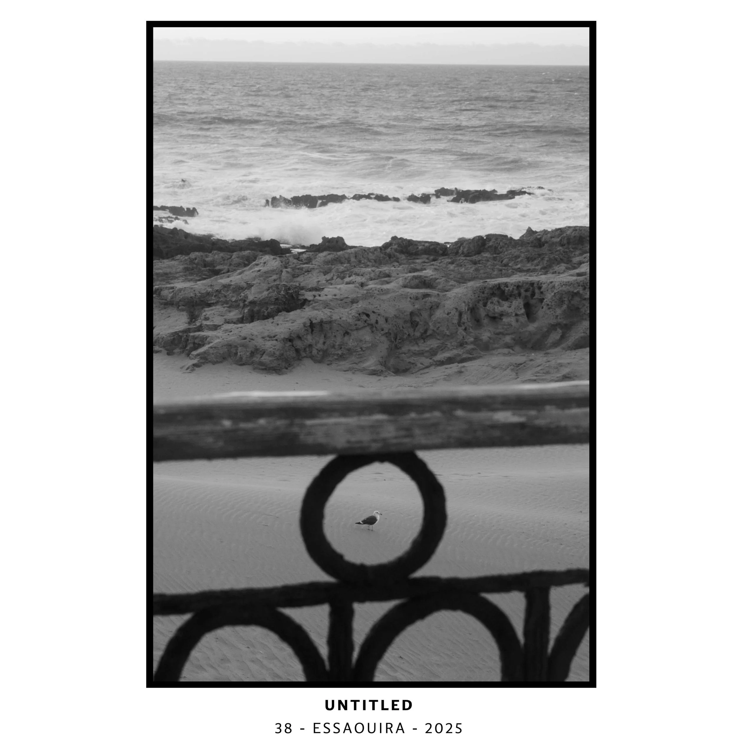 PHOTOGRAPHS-M-6-WE SHALL SEE.jpeg