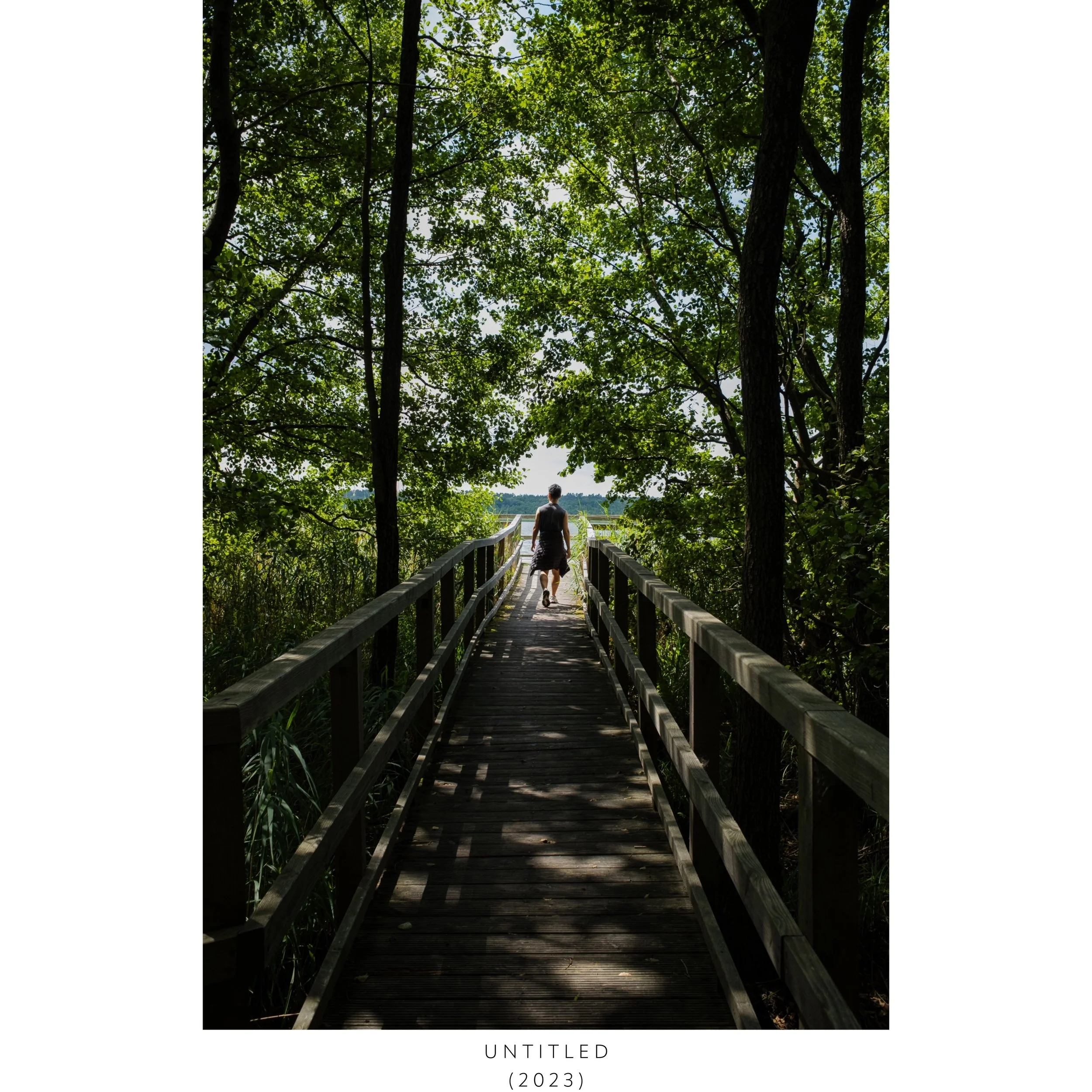 WEB_snail-16-WELCOME TO THE HAPPINESS GARDEN NEW.jpeg