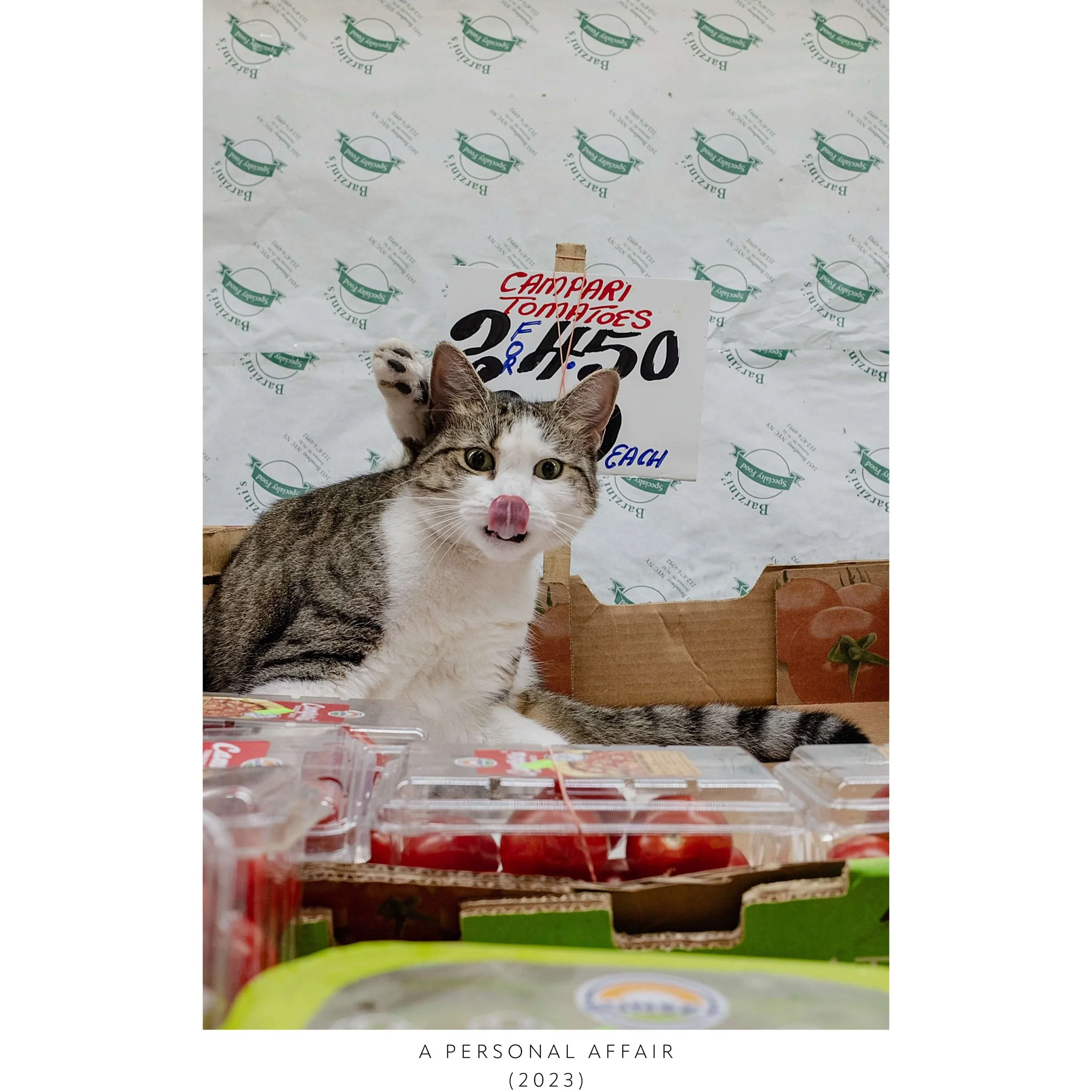 KGN A PERSONAL AFFAIR.jpeg