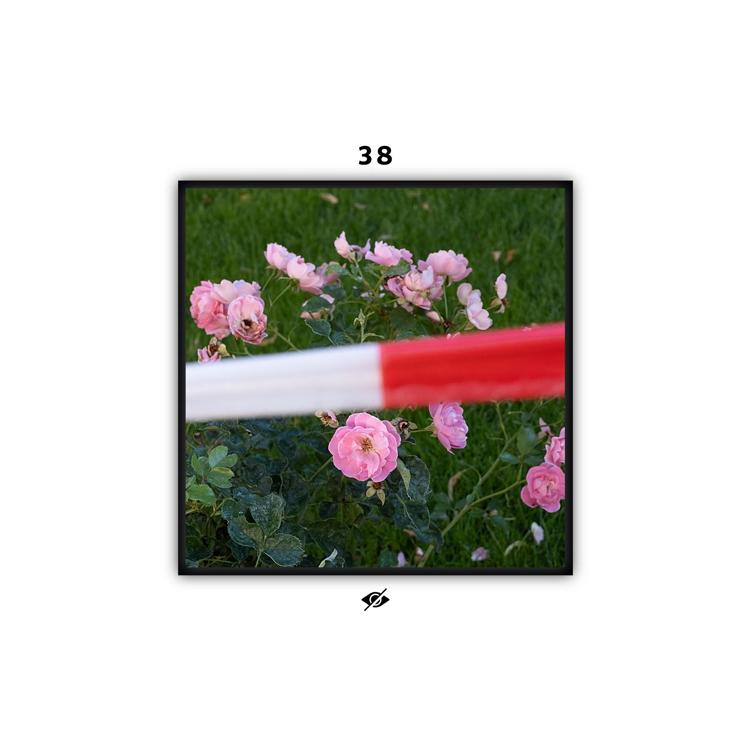 COVERS-56-WE SHALL SEE-6.jpeg