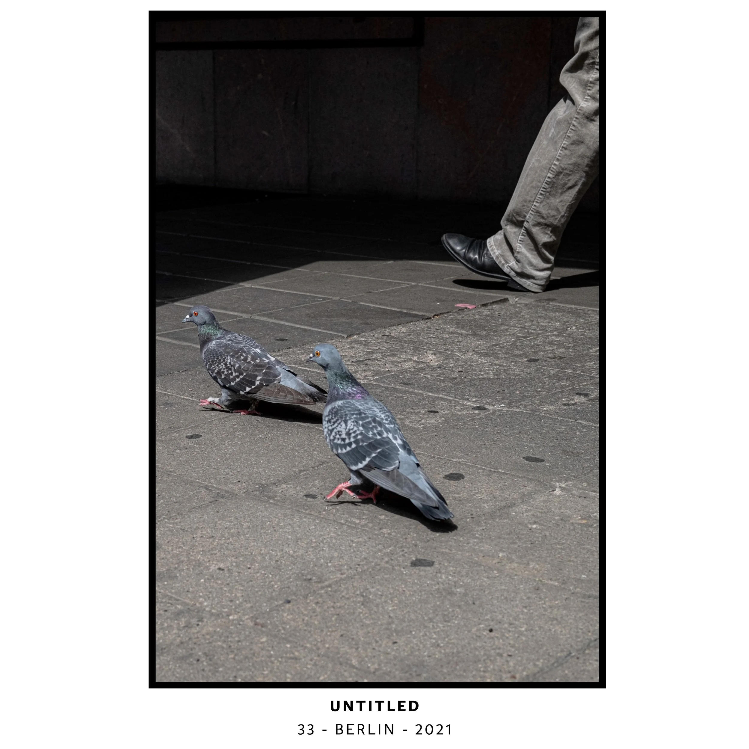 PHOTOGRAPHS-M-37-WE SHALL SEE-6.jpeg