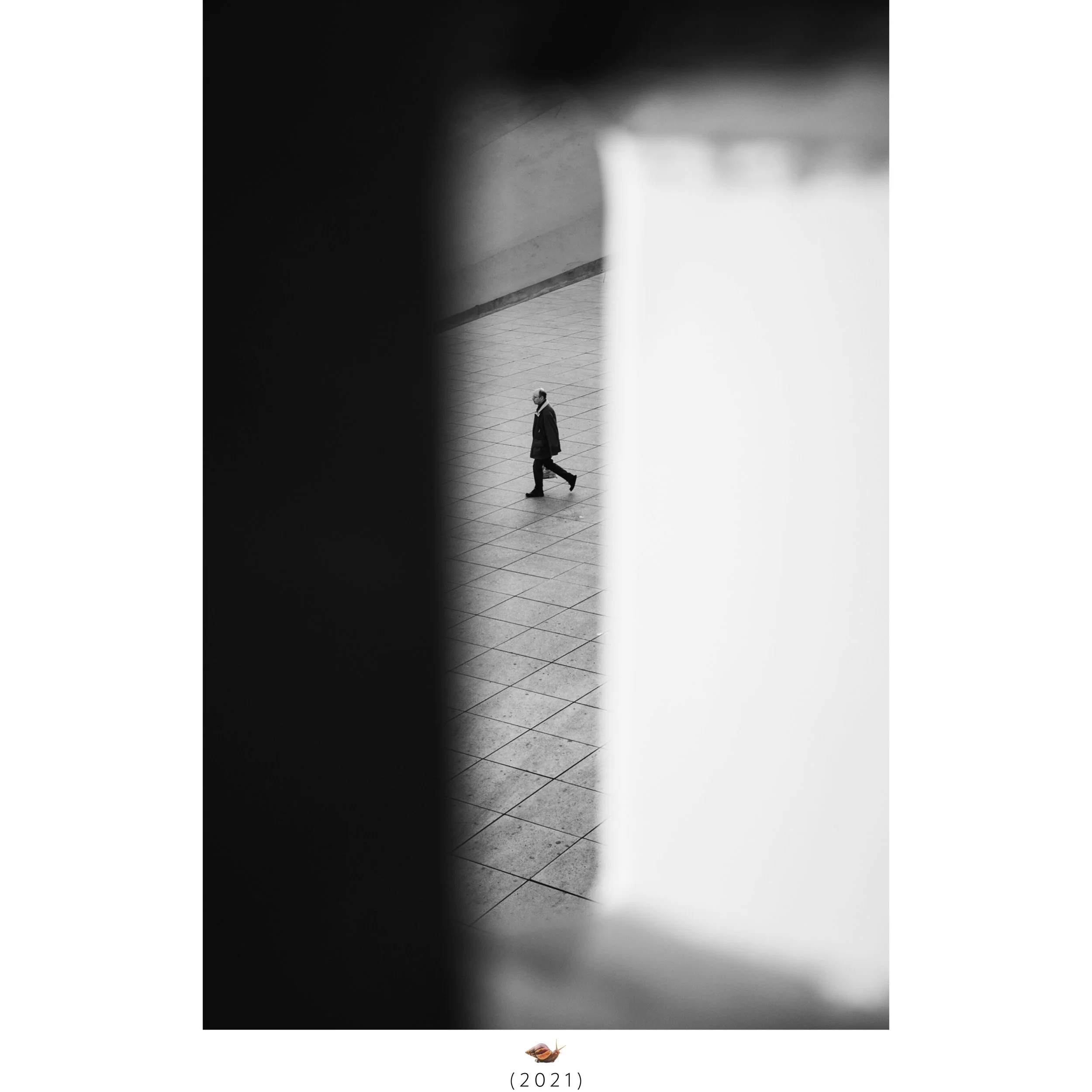 WEB_snail-10-WELCOME TO THE HAPPINESS GARDEN NEW-2.jpeg