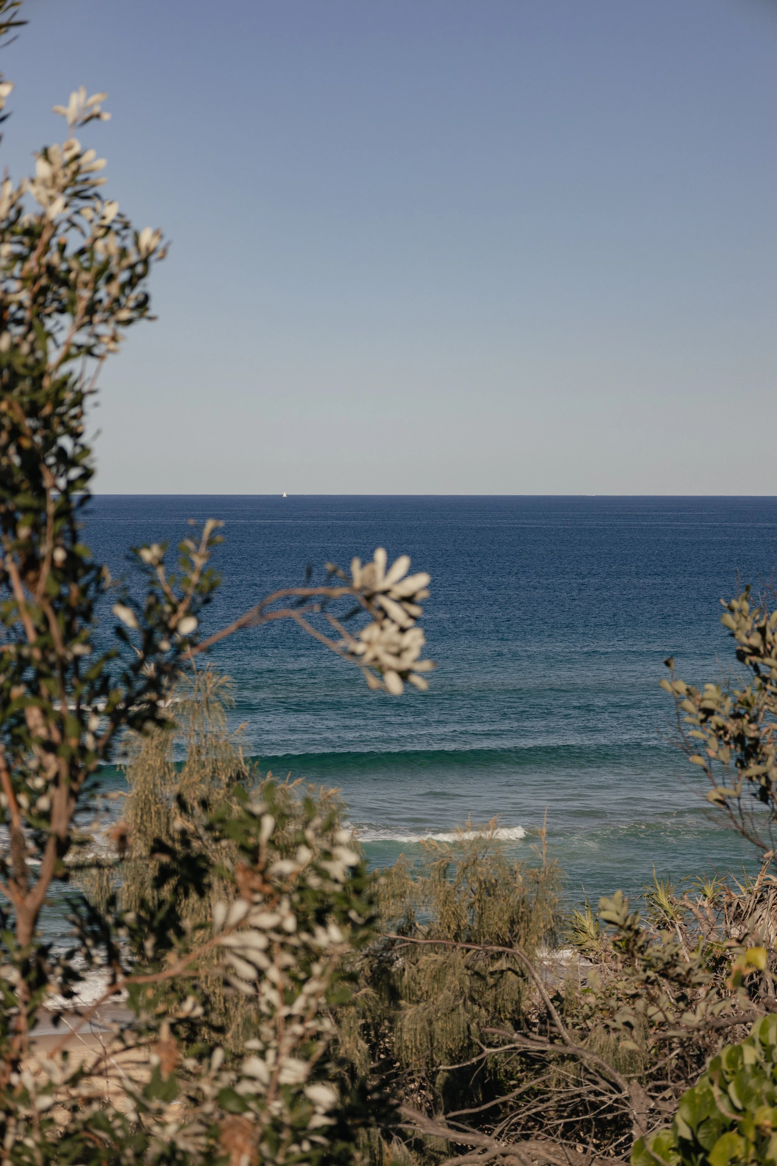 Sannah-D9A9851-RAO.jpg