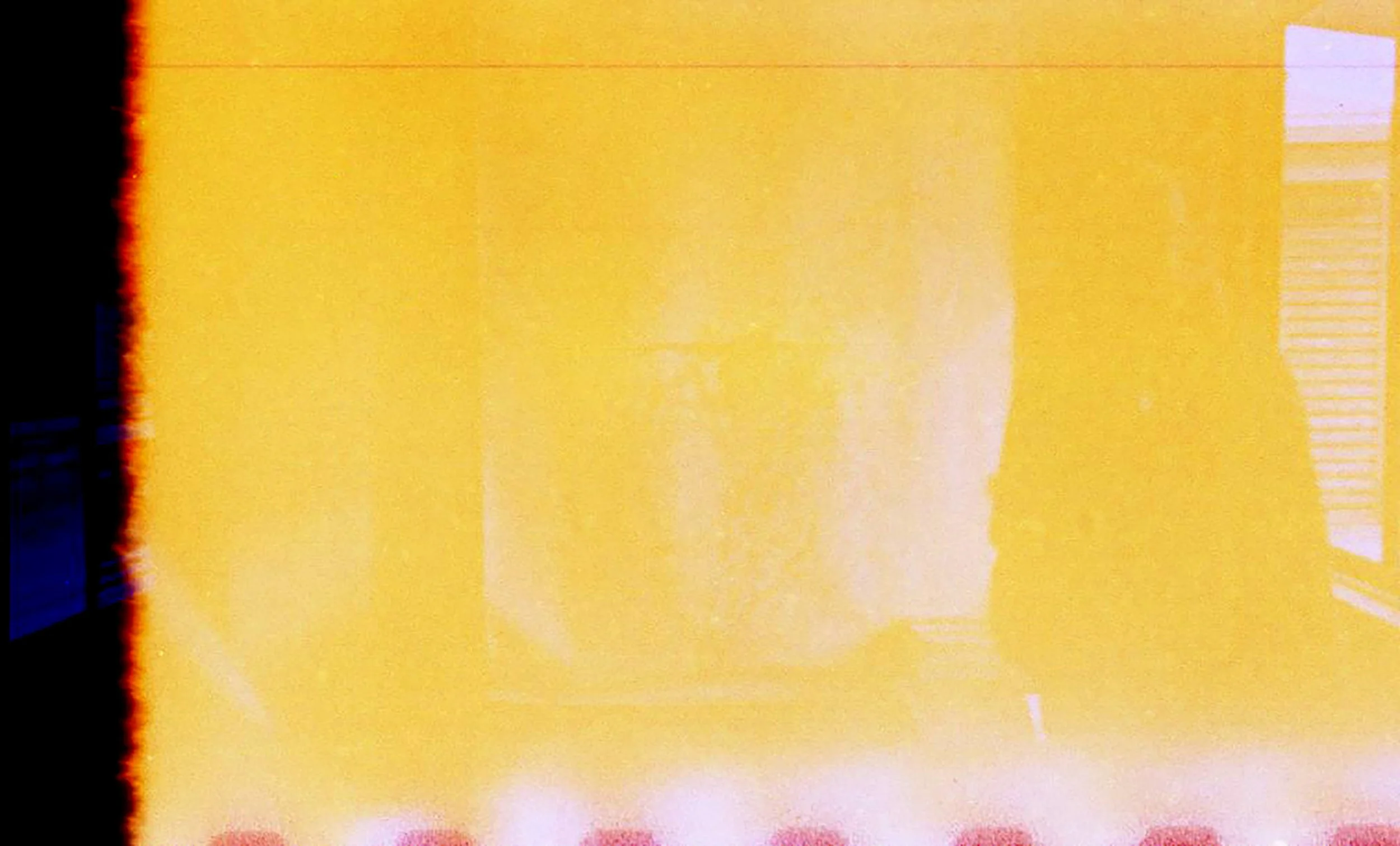 first day of summer.jpg