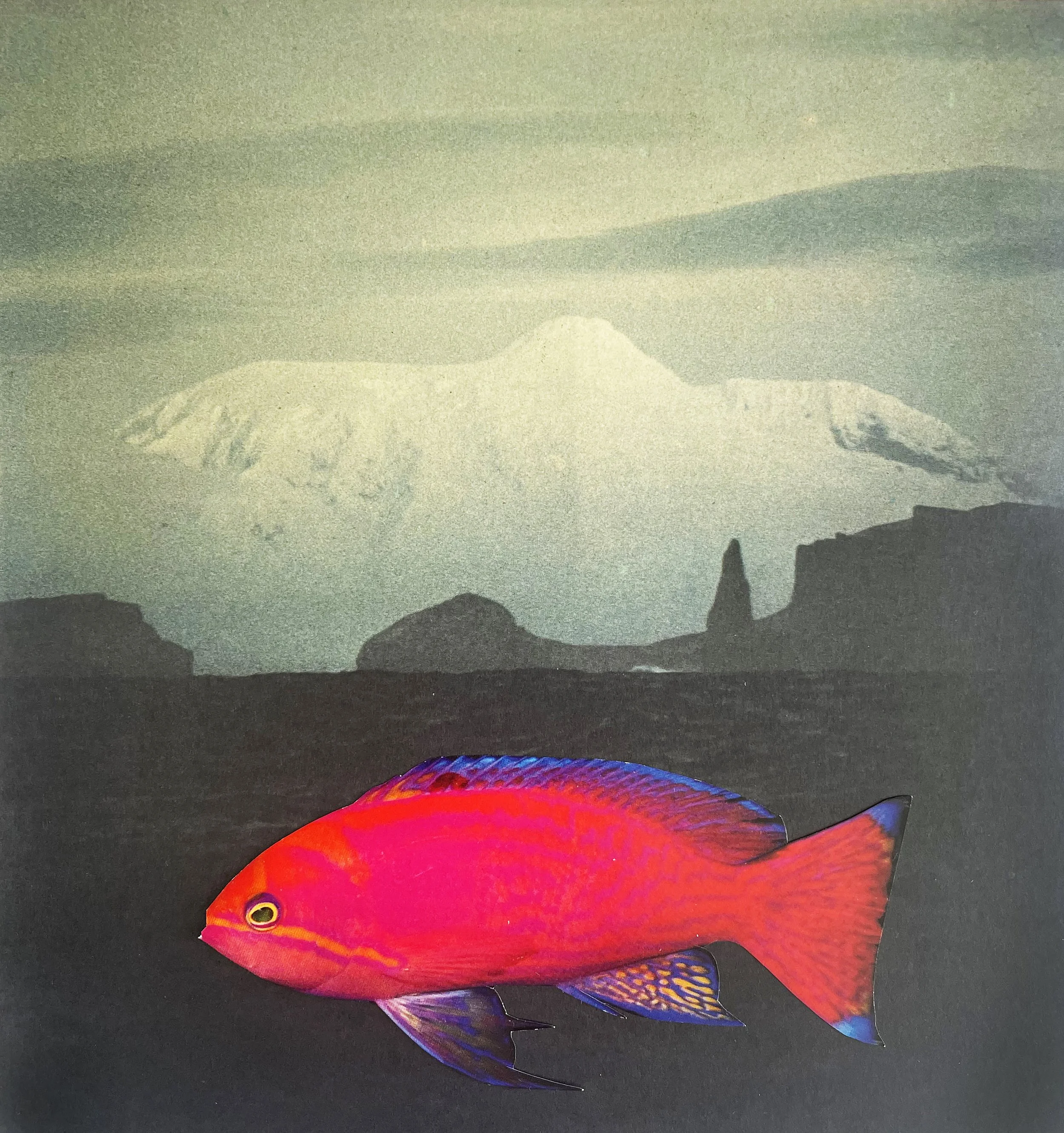 Pink Fish.jpg