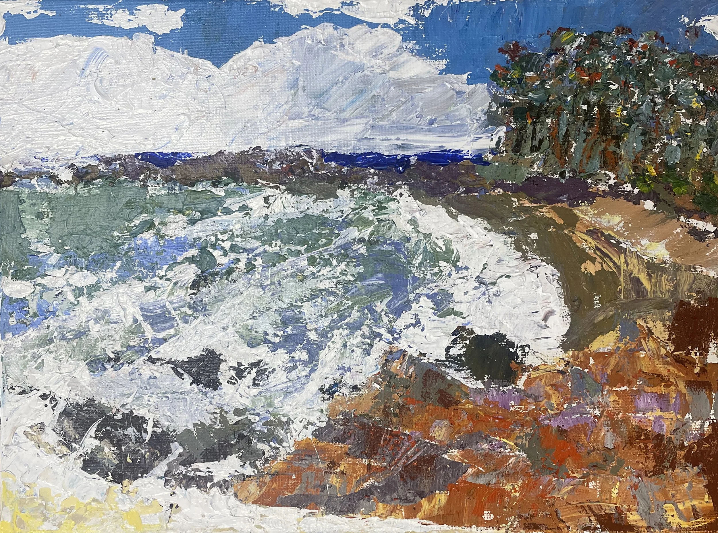 Blustery Barragga_acrylic on canvas_39.5x30cm_available_150.jpg