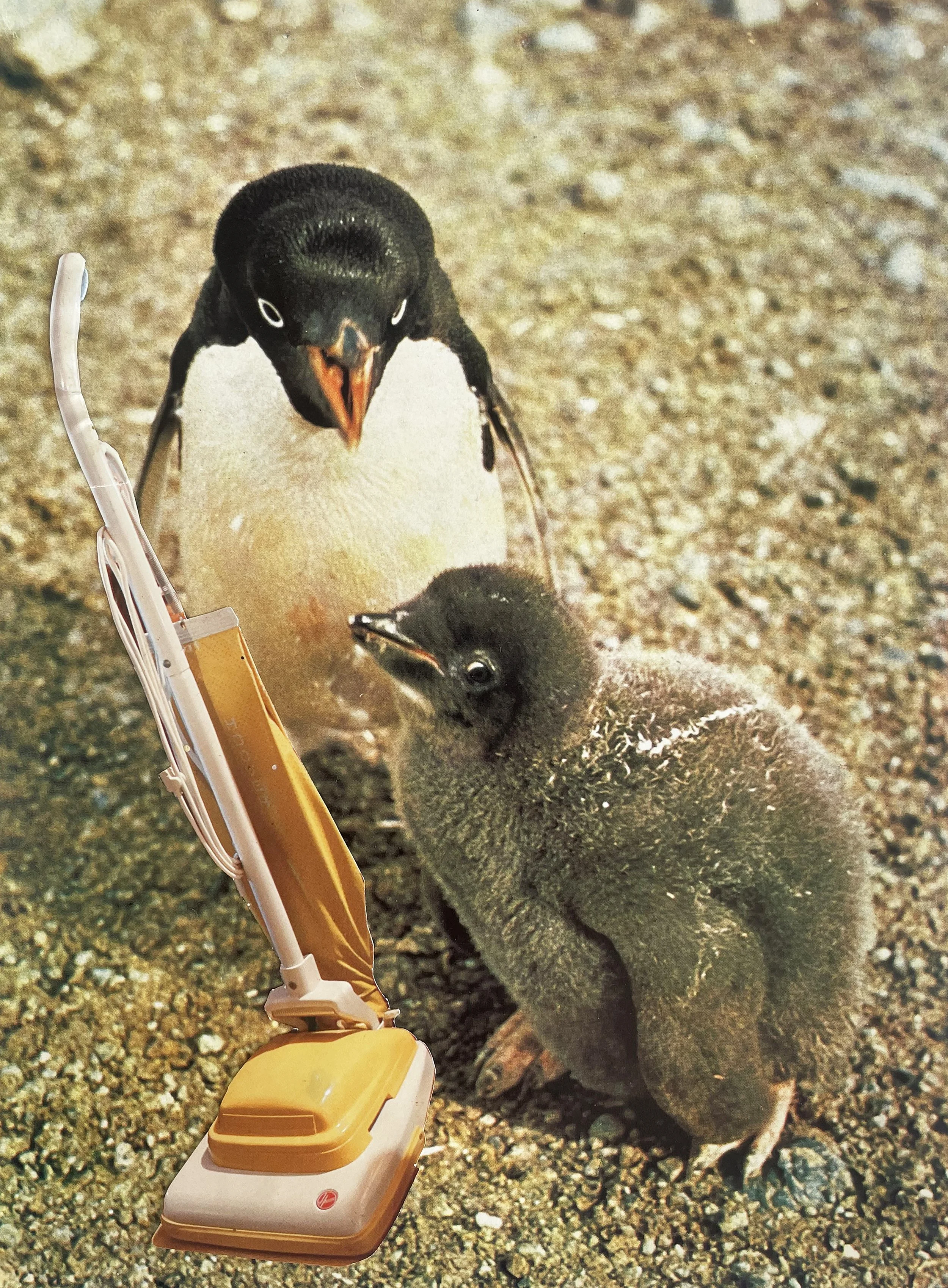 Unhelpful Vacuuming Buddy.jpg