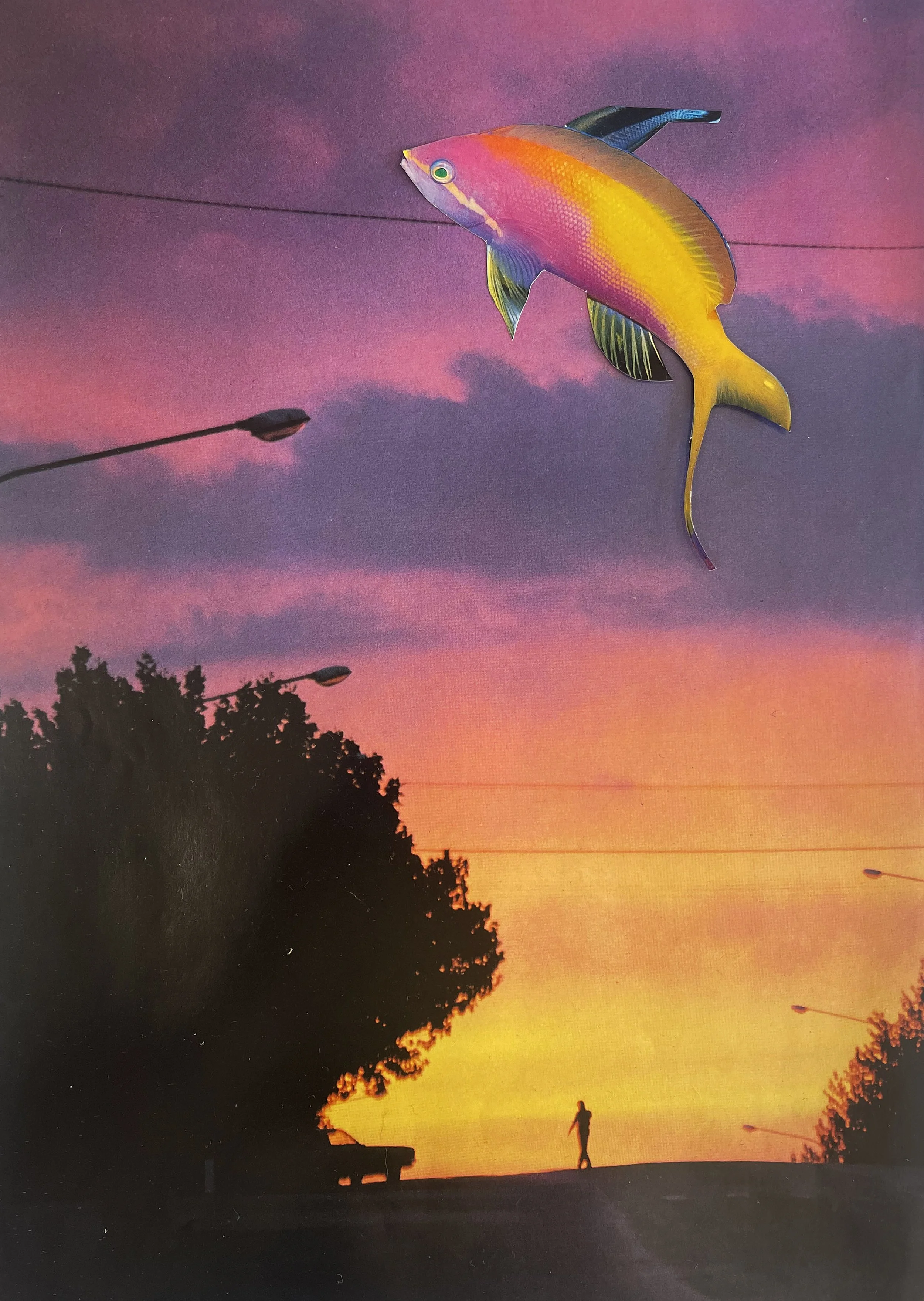 flying fish.jpg