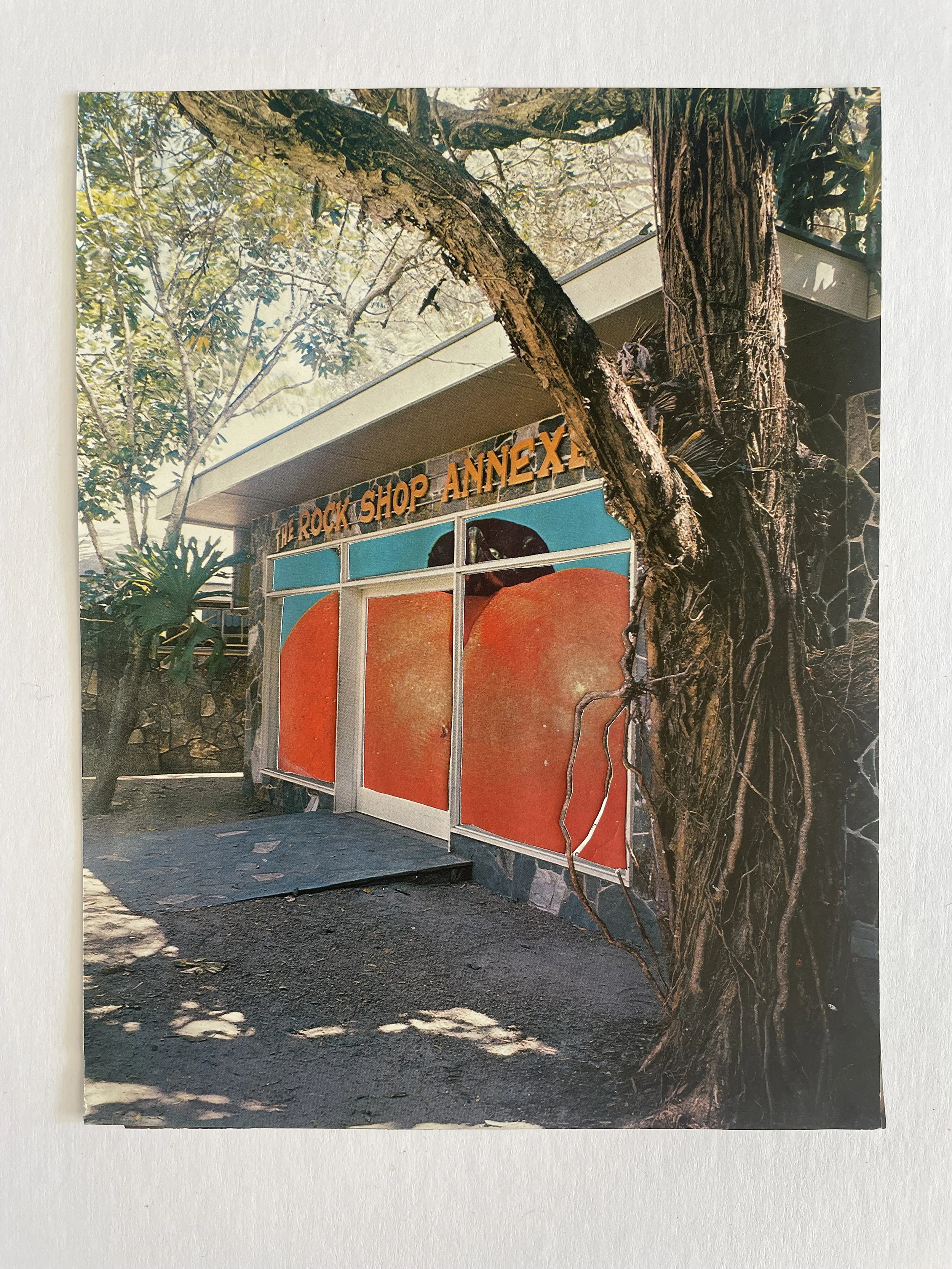 The Rock Shop Annexe.jpg