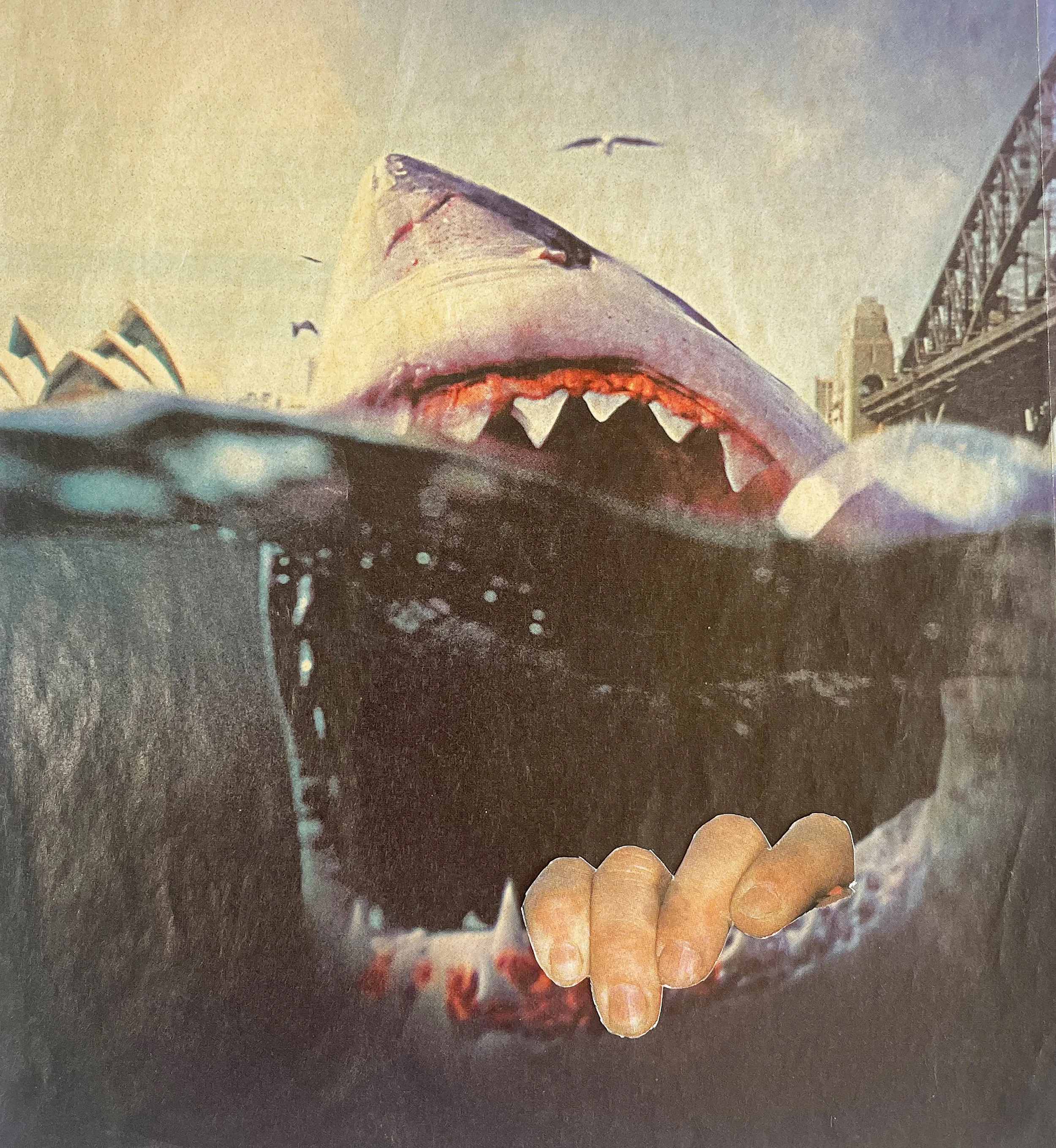 Getting Out of Sydney.jpg