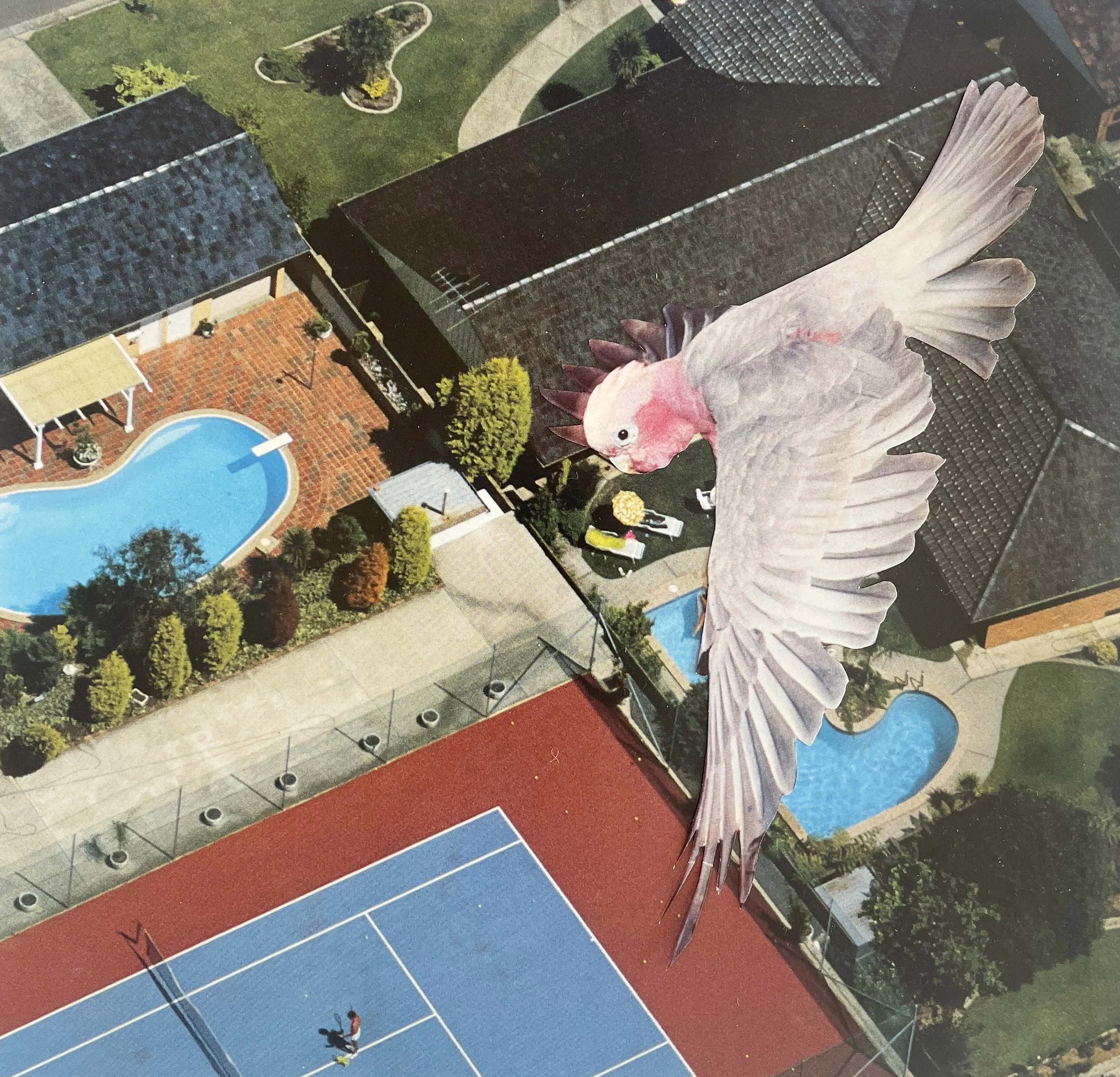 chlorine pools.jpg