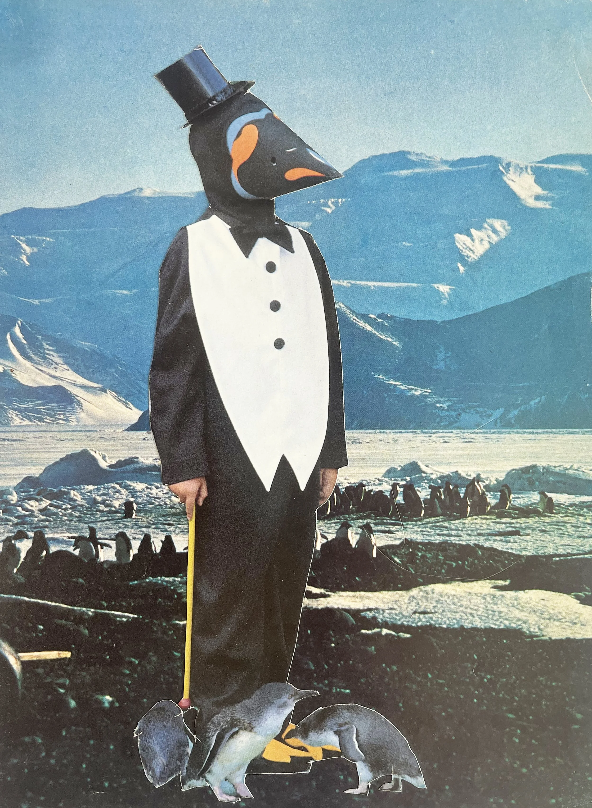 You_re Not My Mum.jpg