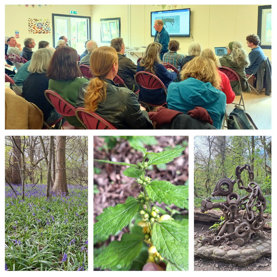 On Saturday, we were at the Birmingham &amp; Black Country Botanical Society AGM at Saltwells NNR, where several fascinating talks were followed by a wonderful exploration of Saltwells Wood and Doulton's Claypit. 

#botany #wildlife #nature #conserva