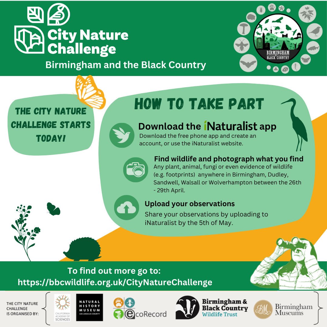 The #citynaturechallenge has now begun! 🌺

If you would like to take part all you need to do is download the @inaturalistorg app and take and upload as many wildlife pictures you can until Monday 29th. You can find out more here: https://bbcwildlife