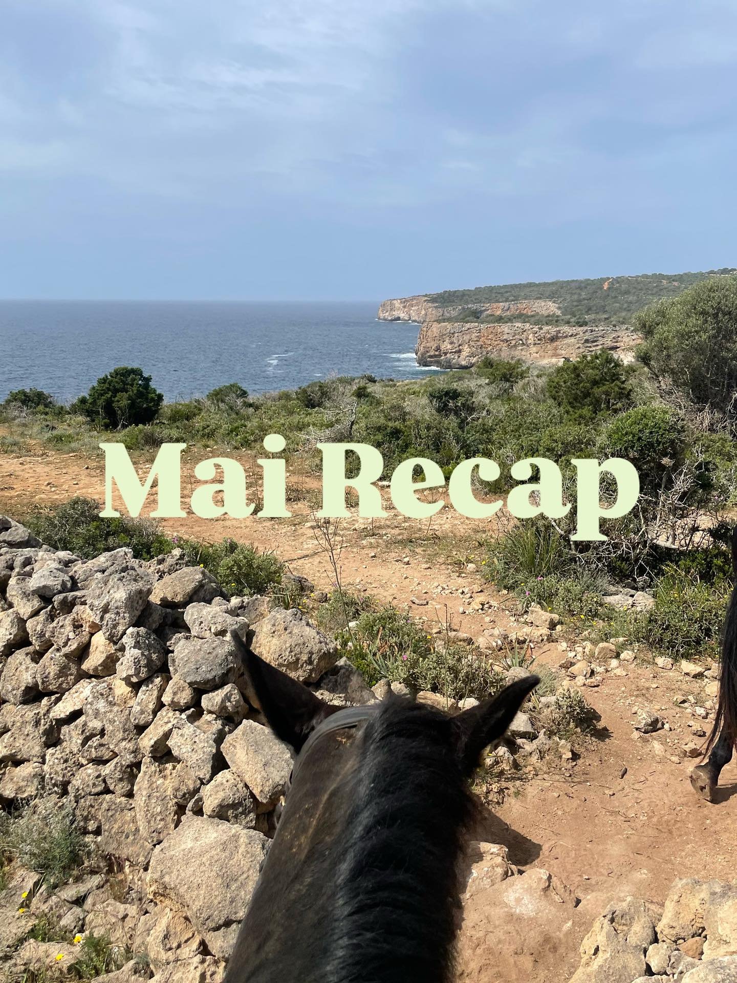 Mai Recap 🌊✈️☀️

Der Mai war einfach wow!!

Von Strand-Ausritten in Menorca 🐎, Fr&uuml;hlingssonne in England ☀️, einer unvergesslichen M&auml;delsreise nach Italien 🍕 bis zu wertvoller Familienzeit in &Ouml;sterreich 🧡 &ndash; dieser Monat war v