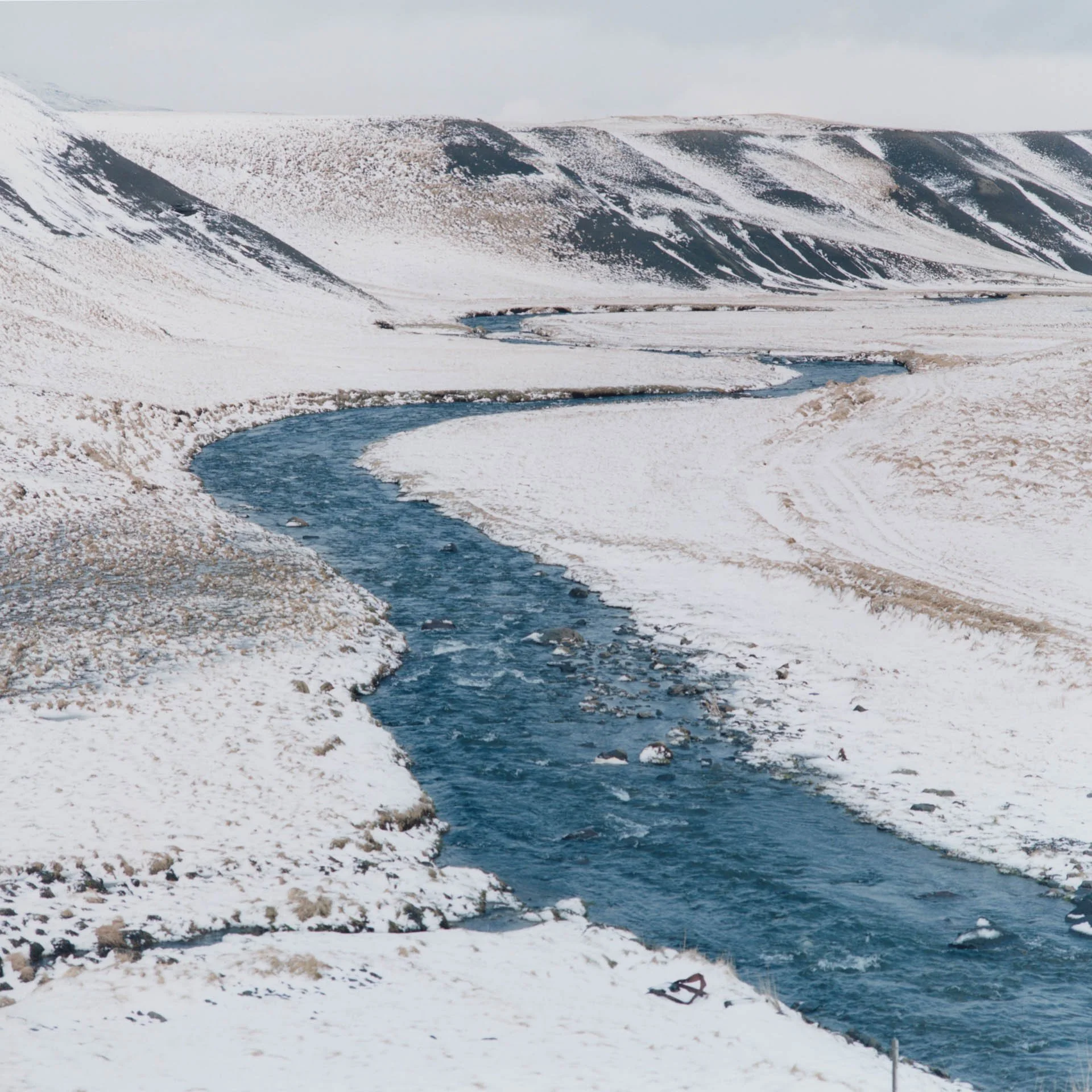 carlotta_iceland020514_13.jpg