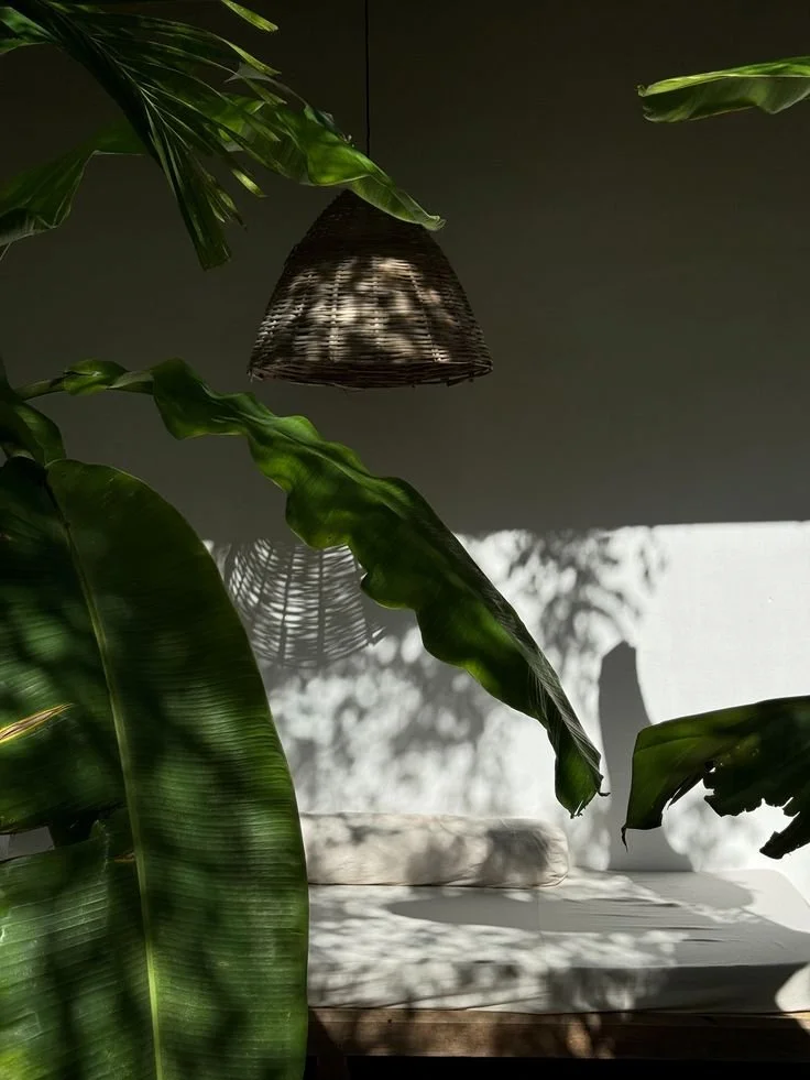 Sunlight filters through large green tropical leaves, casting shadows on a white wall and a seating area with a white cushion and pillow.