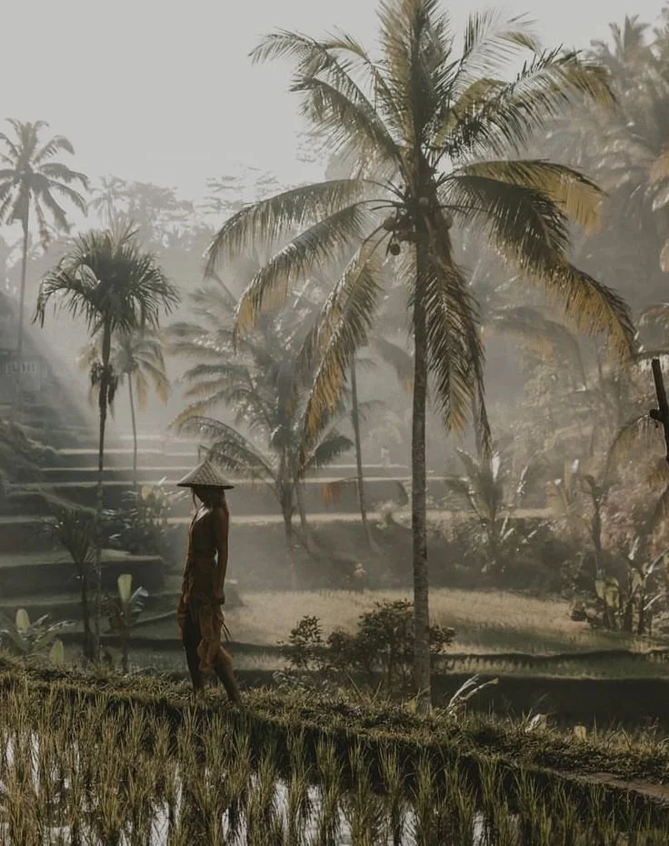 A person wearing a conical hat walking through a lush tropical landscape with palm trees and terraced fields.