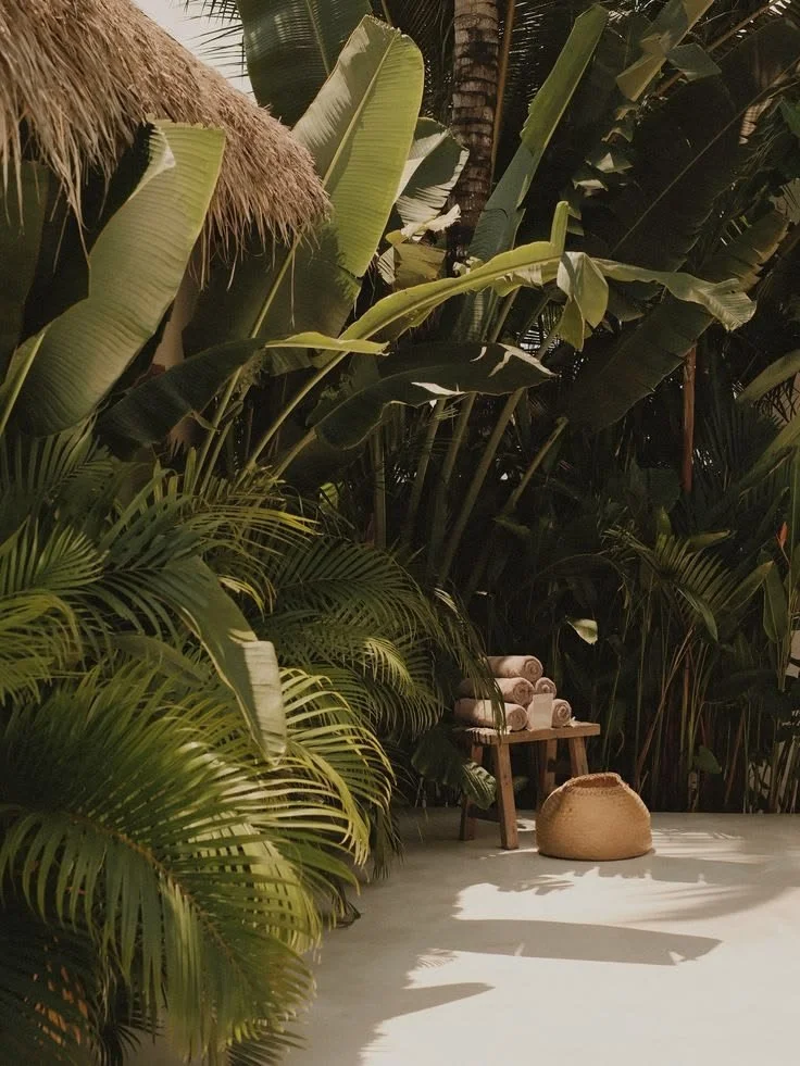 Tropical indoor setting with large green leaves, thatched roof, a wooden bench with rolled towels, and a woven basket, illuminated by natural sunlight.