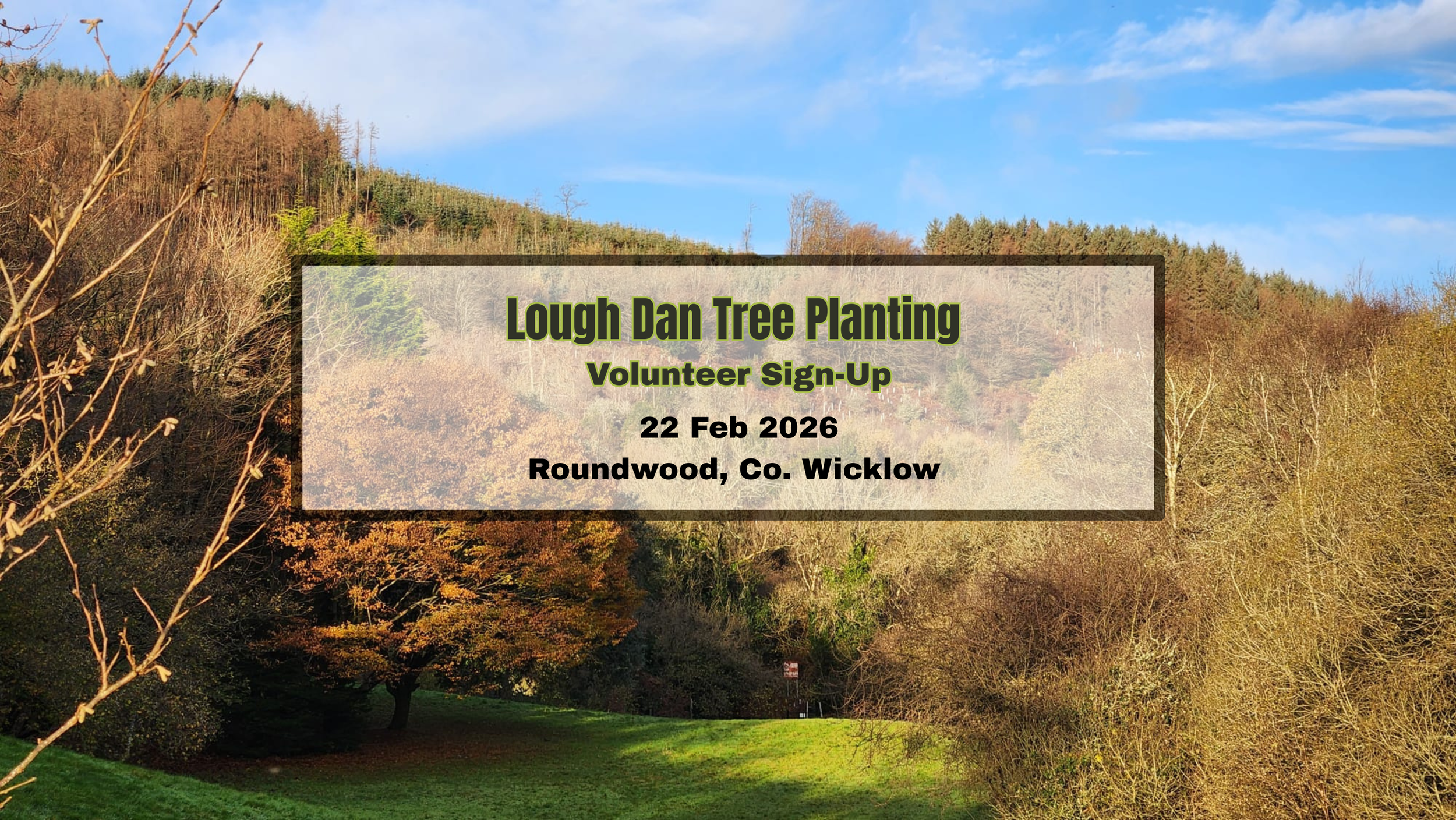 Lough Dan Tree Planting - Volunteer Sign-Up