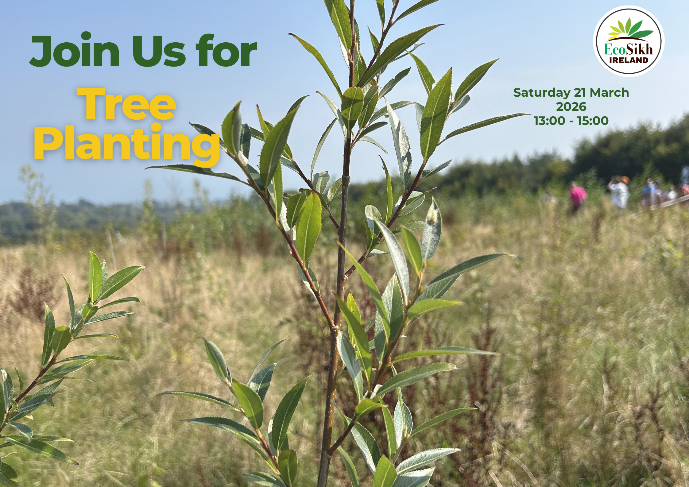 Delgany: New Tree planting event with Ecosikh Ireland 