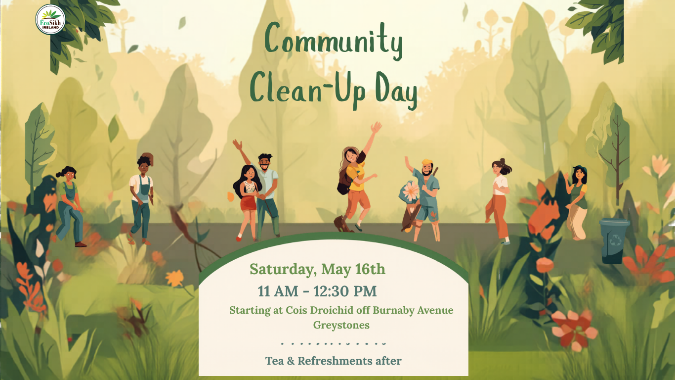 Greystones Community Clean-Up with EcoSikh Ireland