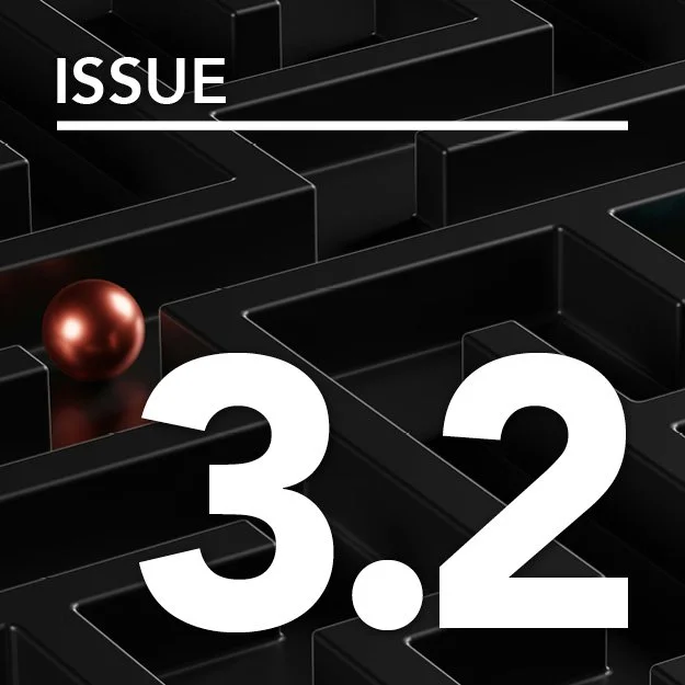 Issue 3.2