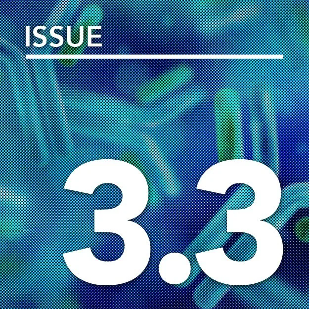 Issue 3.3