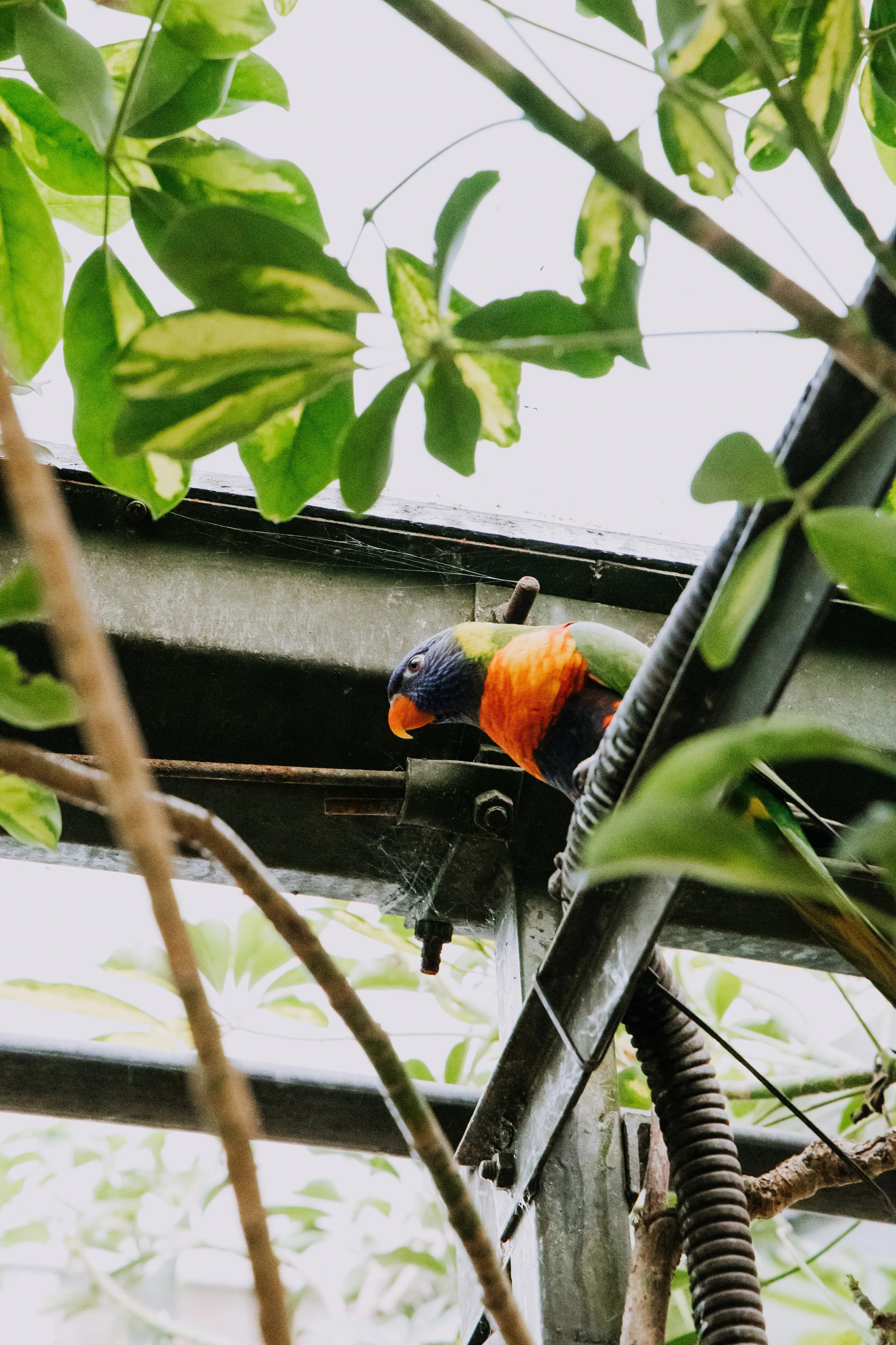 Creative reptile photography by We Are Photo member during hands-on zoo workshop experience