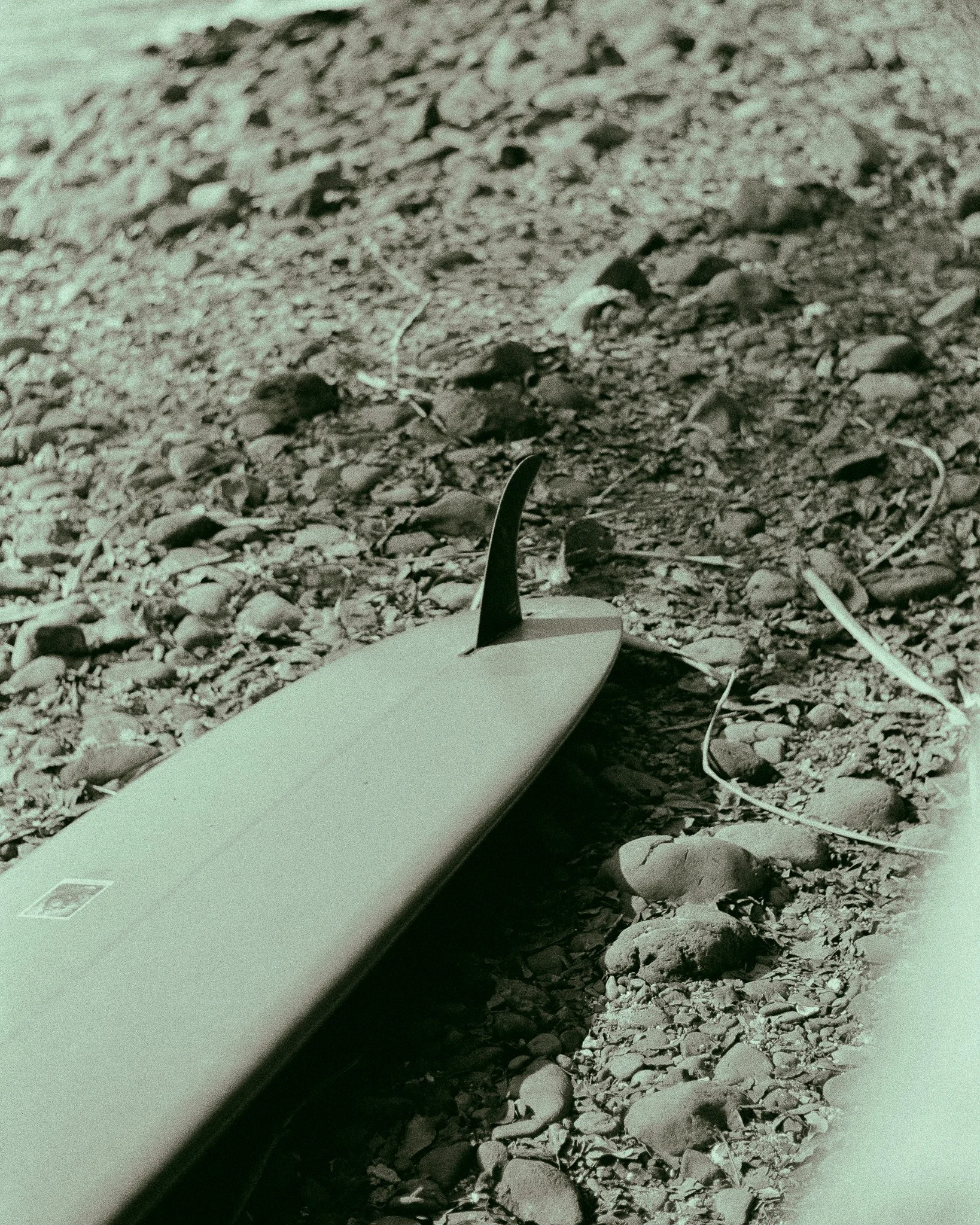 Lonely Surf Day Fine Art