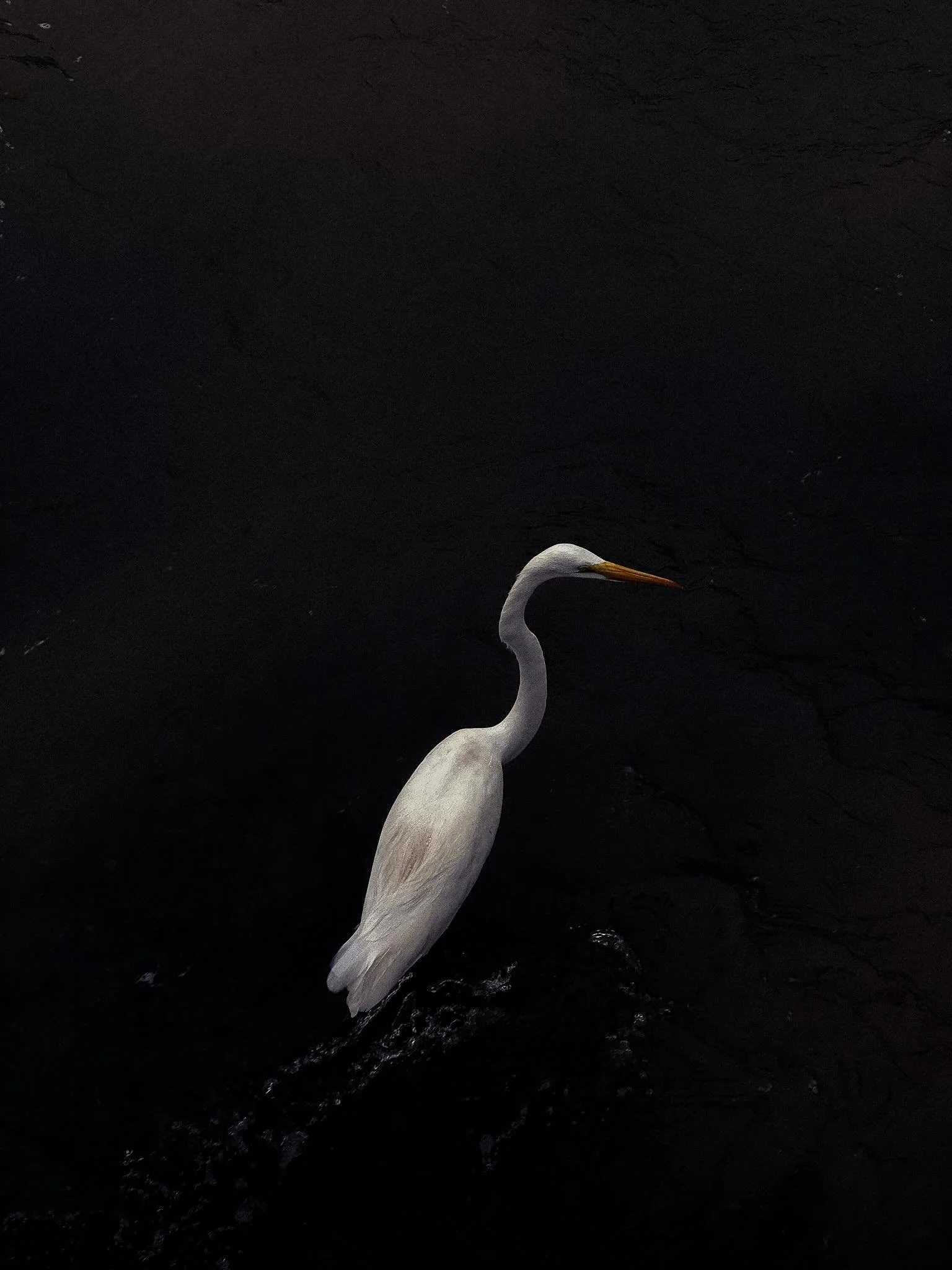 Under the water.

#apple  #shootingoniphone