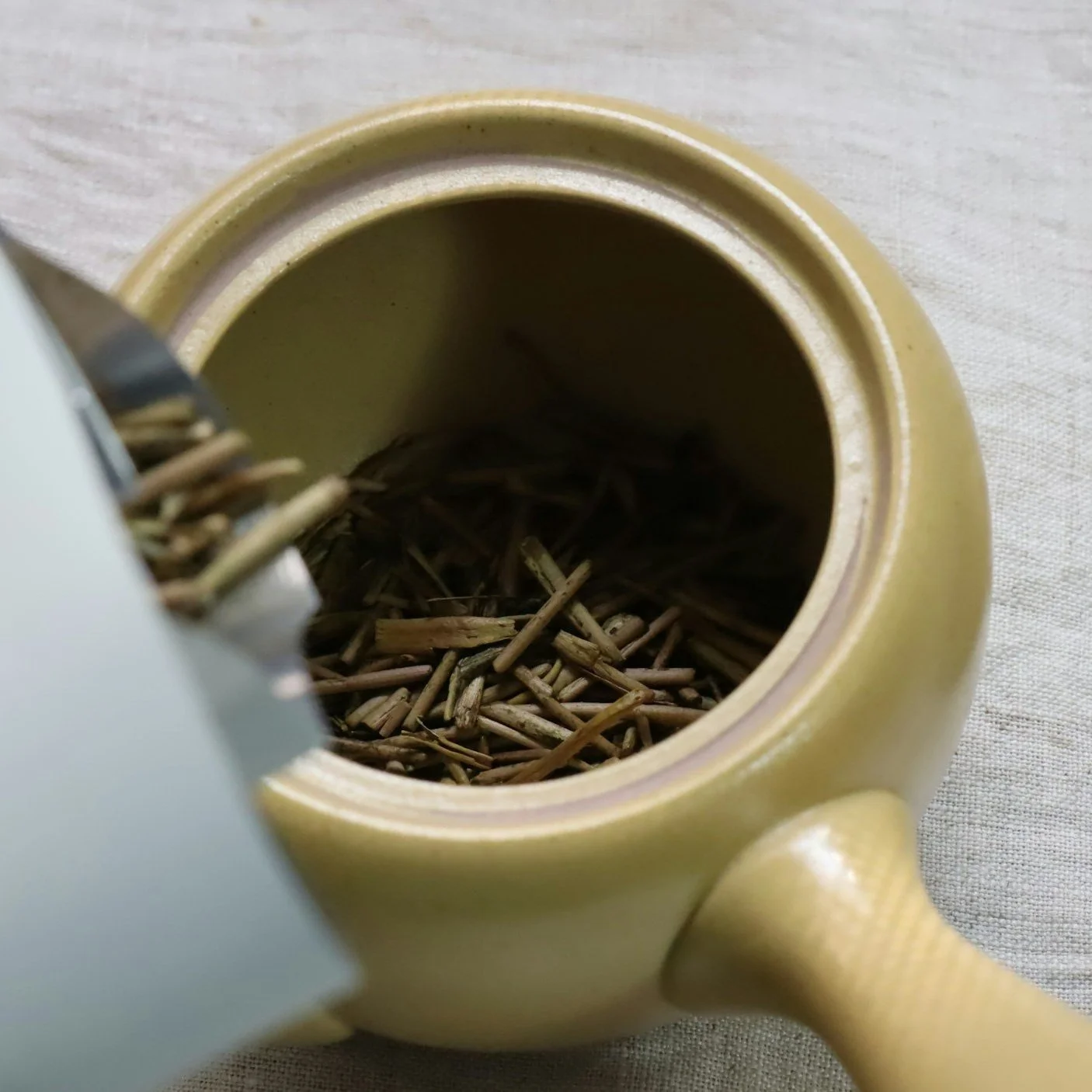 Auf Entdeckungsreise durch die Welt des Hōjicha (DE)